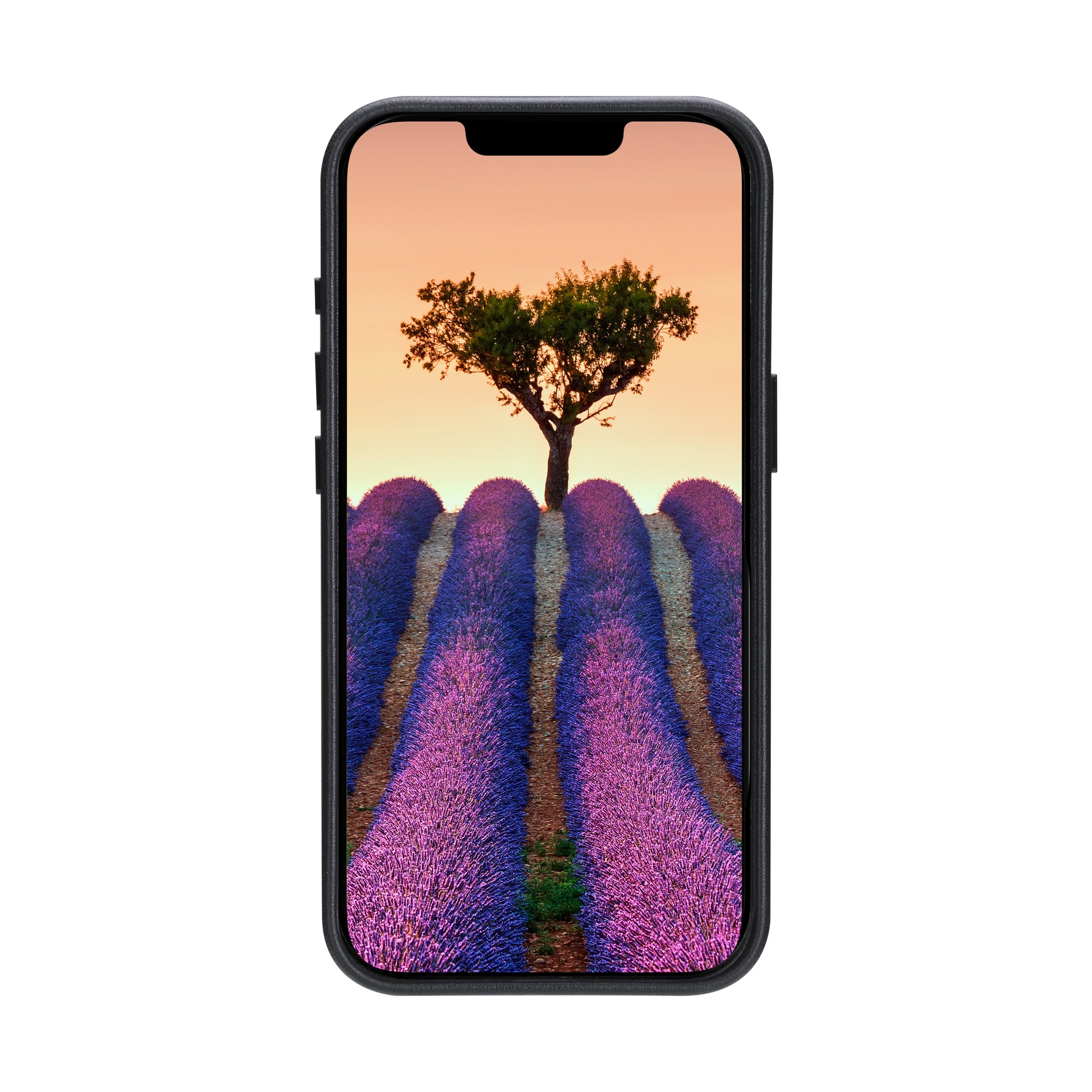 dbramante1928 Roskilde Backcover – für Apple iPhone 16e, Leder, Schwarz