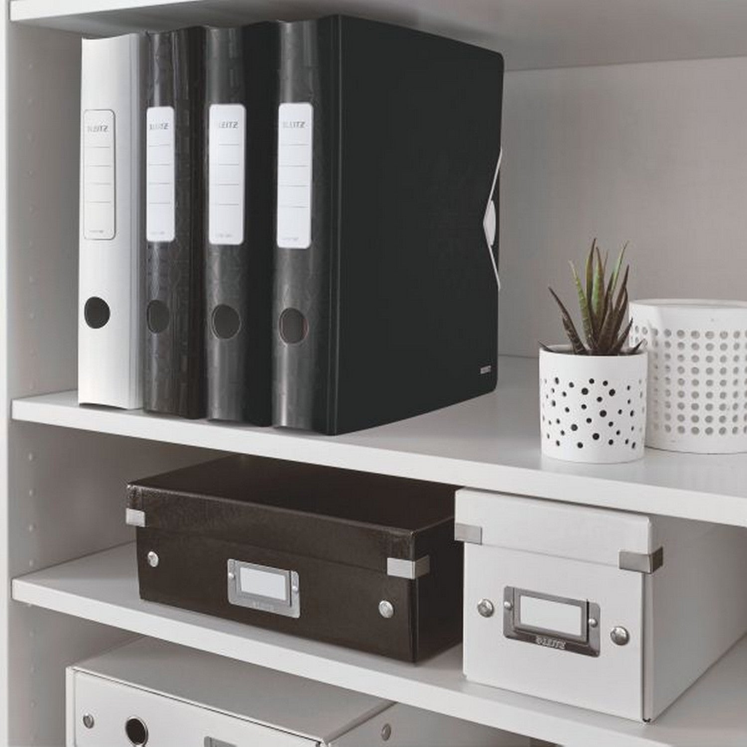 Leitz Active WOW Ordner – für A4 – Rückenbreite 6,5 cm – Schwarz