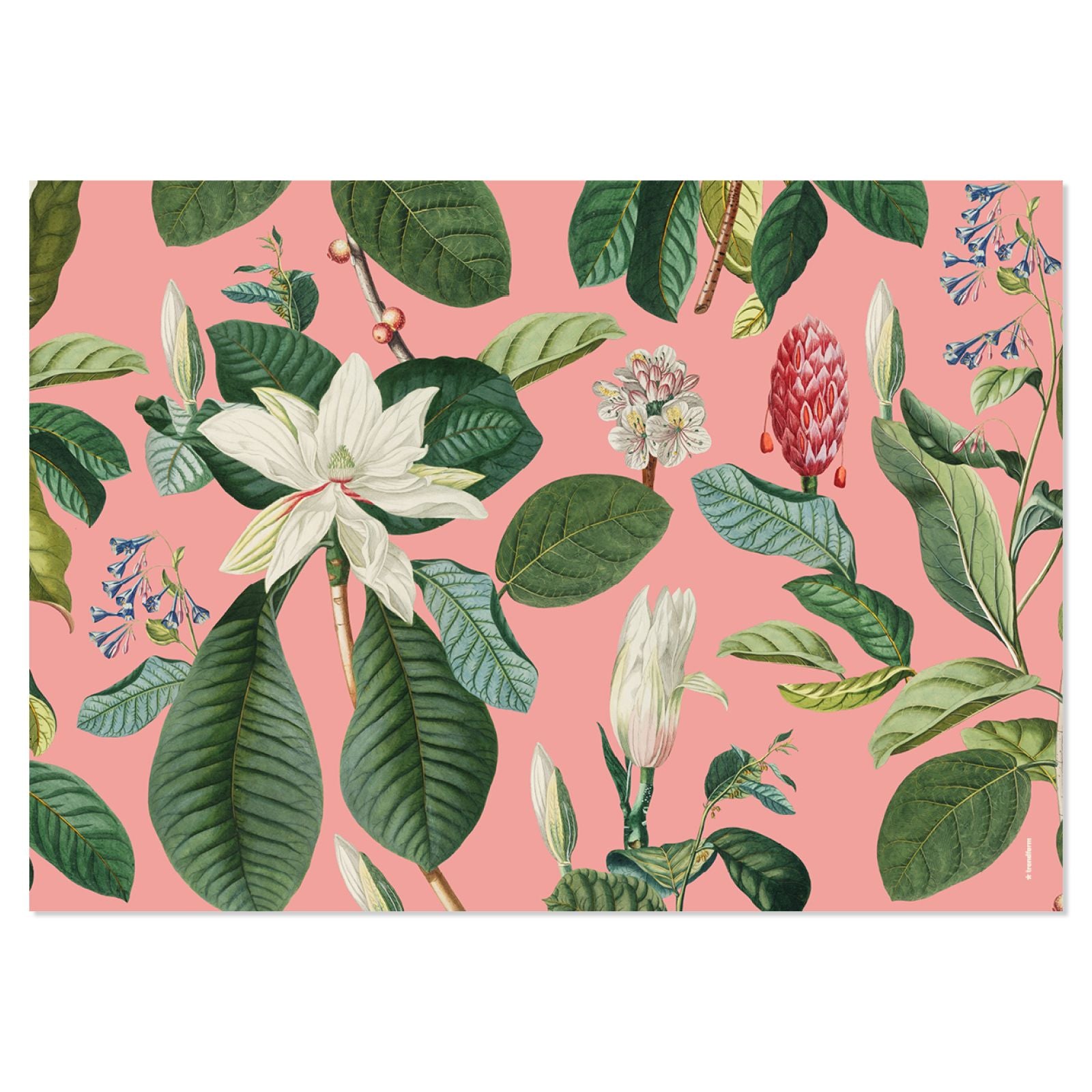 Trendform Tischset Magnolia, Papier, Rechteckig – 42 × 29,7 cm, Mehrfarbig – FSC – 48 Stk.