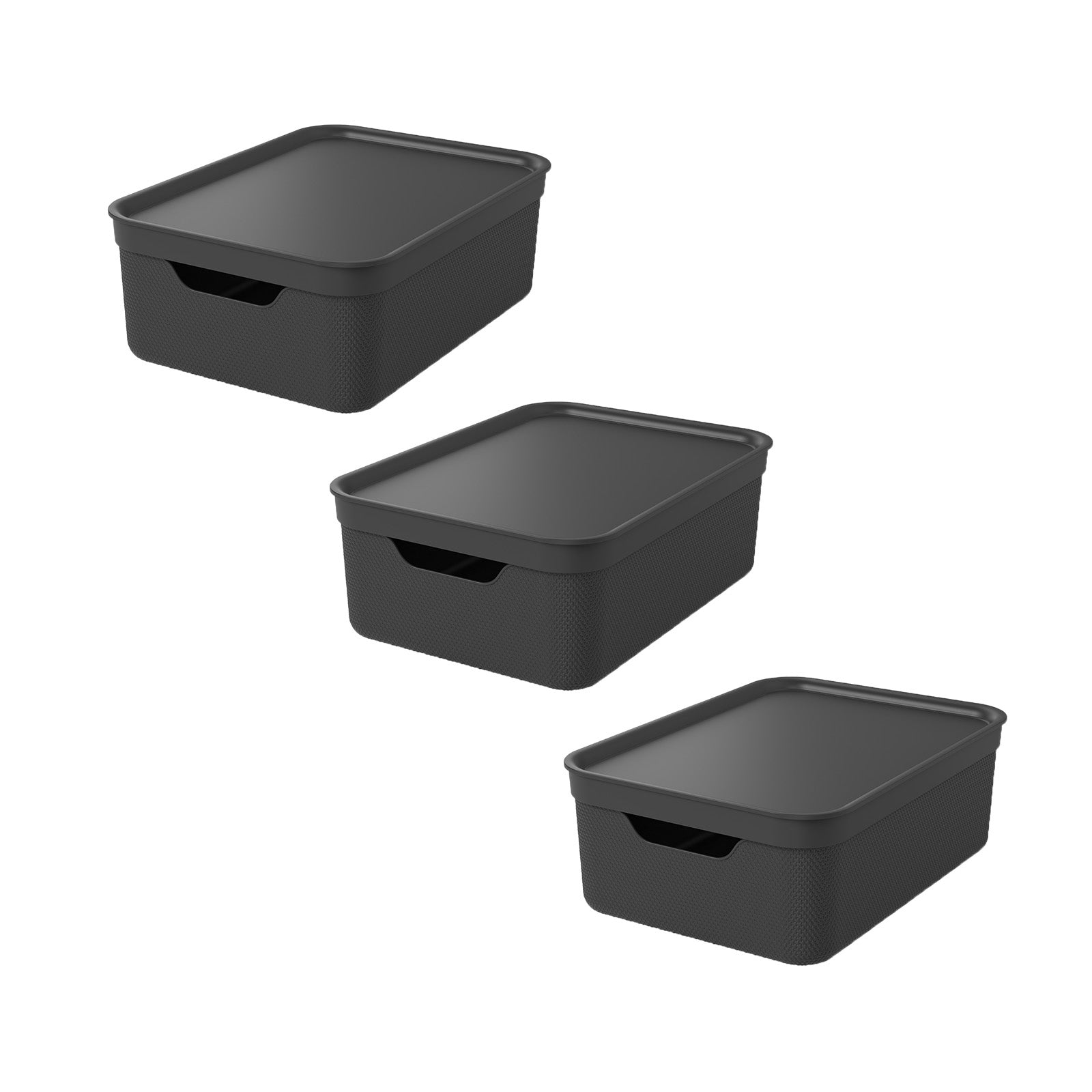 Rotho Aufbewahrungsbox 13 l (mit Deckel) – Kunststoff – schwarz – für A4 – 278 × 130 × 375 mm – 3 Stück