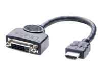 Lindy HDMI (Buchse) auf DVI (Stecker) Adapter, HDCP, 20 cm
