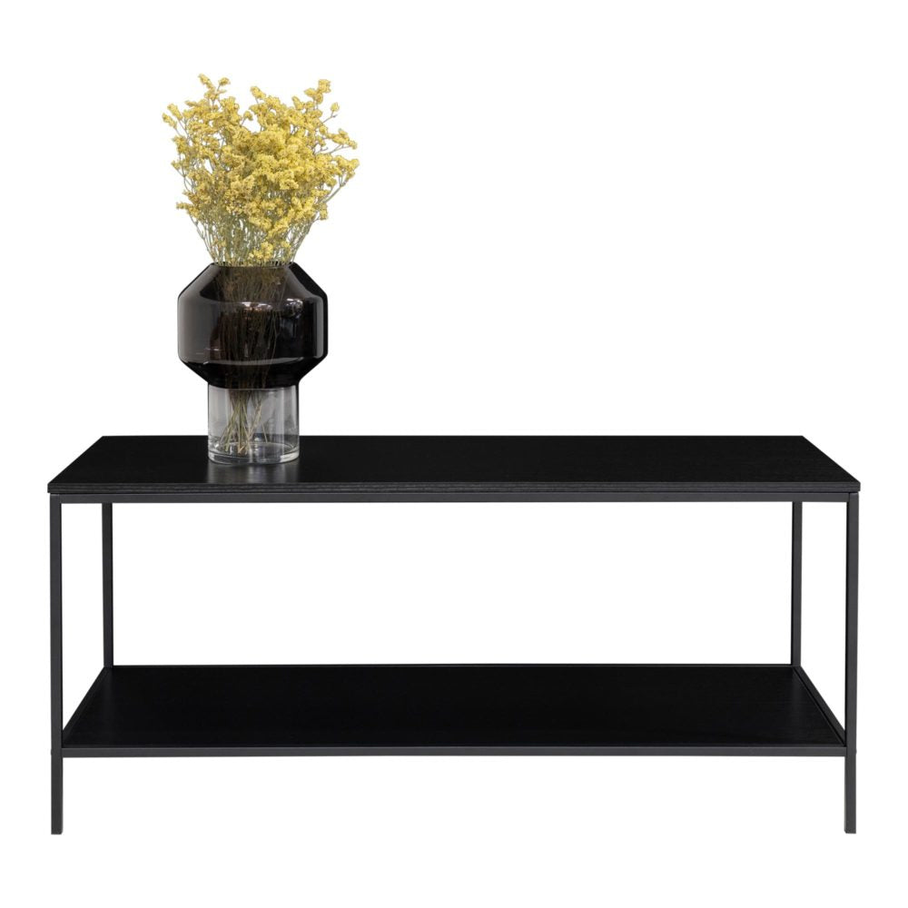 House Nordic TV-Möbel – schwarz, Stahl, 100 × 45 × 36 cm, mit 2 Regalen
