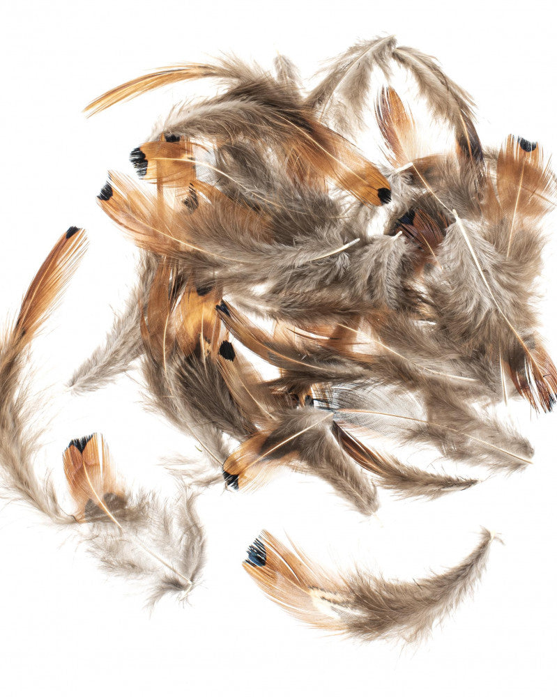GLOREX Fasanenfedern, Braun, 12 cm, 10 g, 1 Stk., 6 3822 152