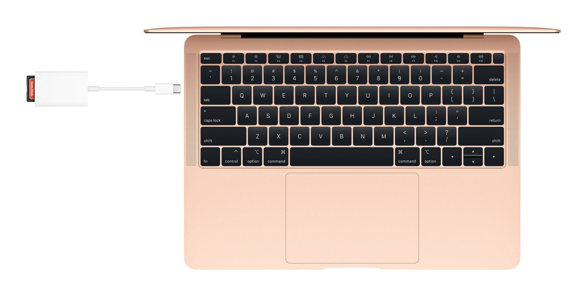 Apple MW653ZM/A USB-C Kartenleser – SD, 1 Steckplatz, USB 2.0 – für iPhone 15, iPad Pro/Air, MacBook