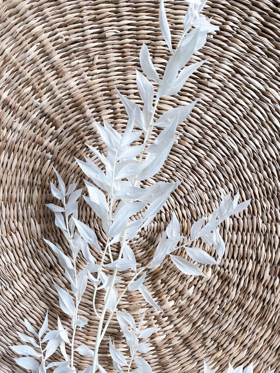 Soli Collection Trockenblumen – Weiss – 75 cm – 1er-Pack