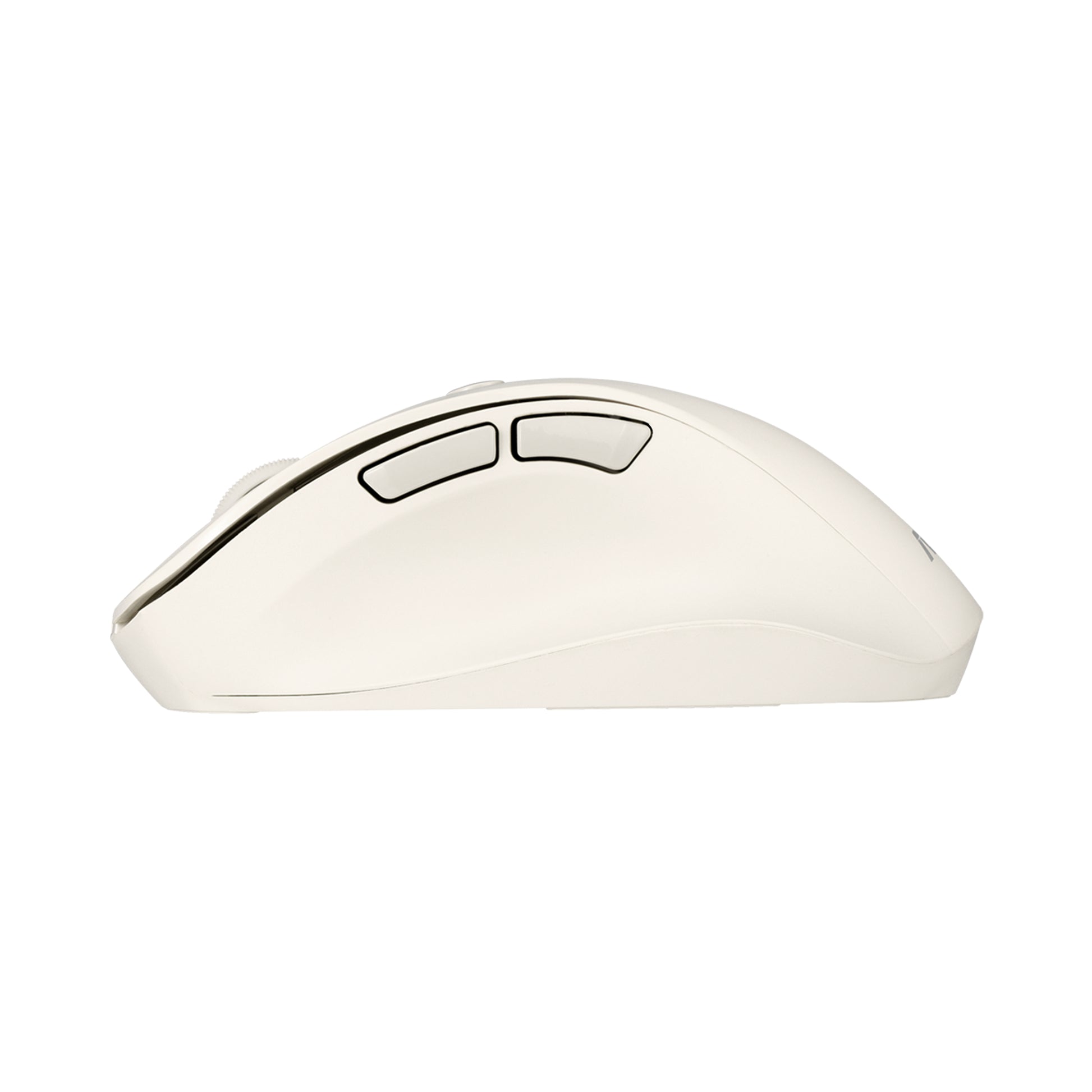 ASUS MD105 – Maus – Kabellos (Bluetooth/2,4 GHz), rechts, Beige
