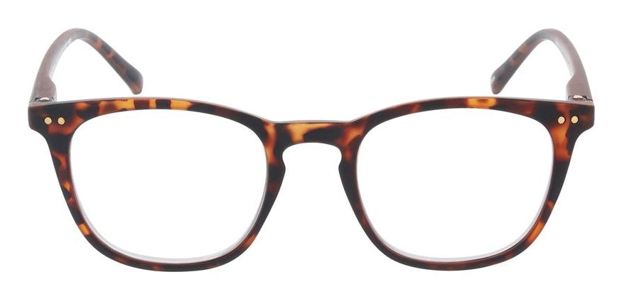 SMARTY Schutzbrille Amann +1,0 dpt – Gläser transparent, Rahmen braun