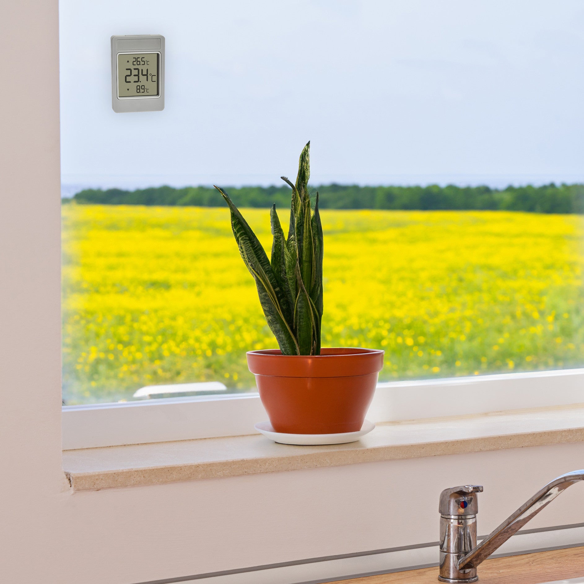TFA-Dostmann TFA Dostmann WINDOO – Fensterthermometer, digital, aussen, grau