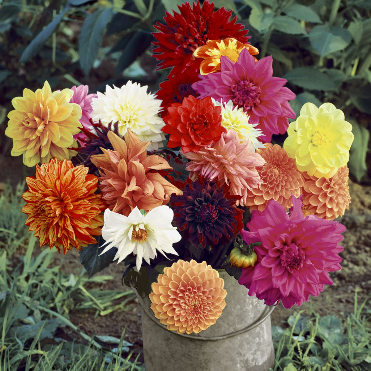 Paper + Design Servietten Floral Magic mehrfarbig – 33 × 33 cm, 3-lagig – 20 Stück