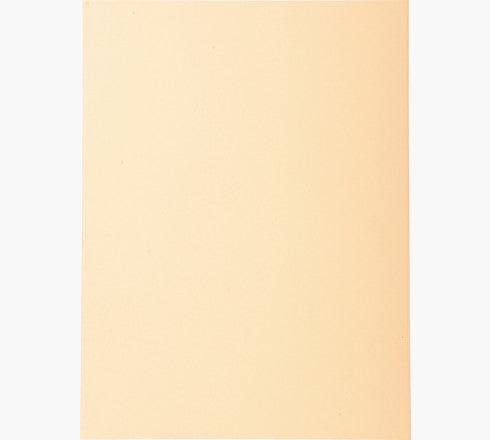 Exacompta Sammelmappe für A4, Karton, Sand