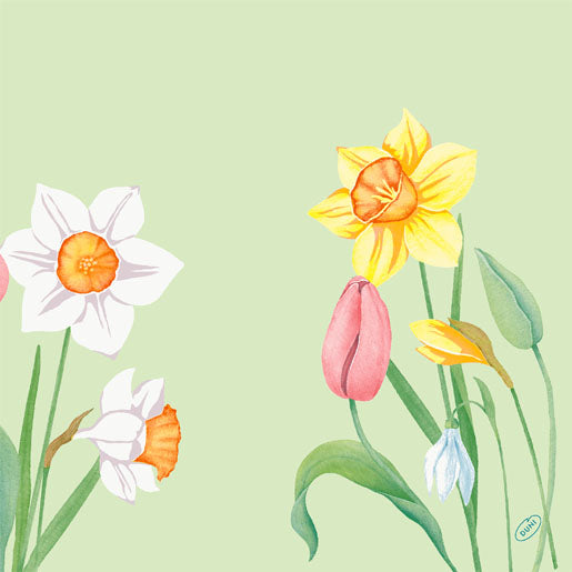 Duni Servietten Spring Melody, mehrfarbig – 40 × 40 cm, 4-lagig – 50 Stück
