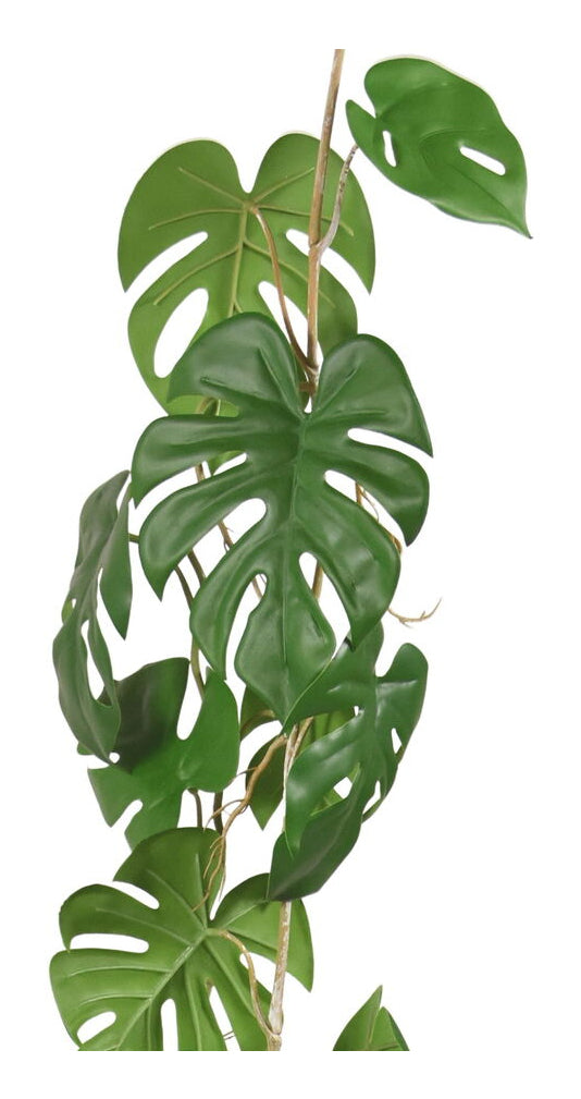 Botanic-Haus Monstera Girlande – Ø 200 × 110 cm – Kunststoff, Grün – 12er-Pack