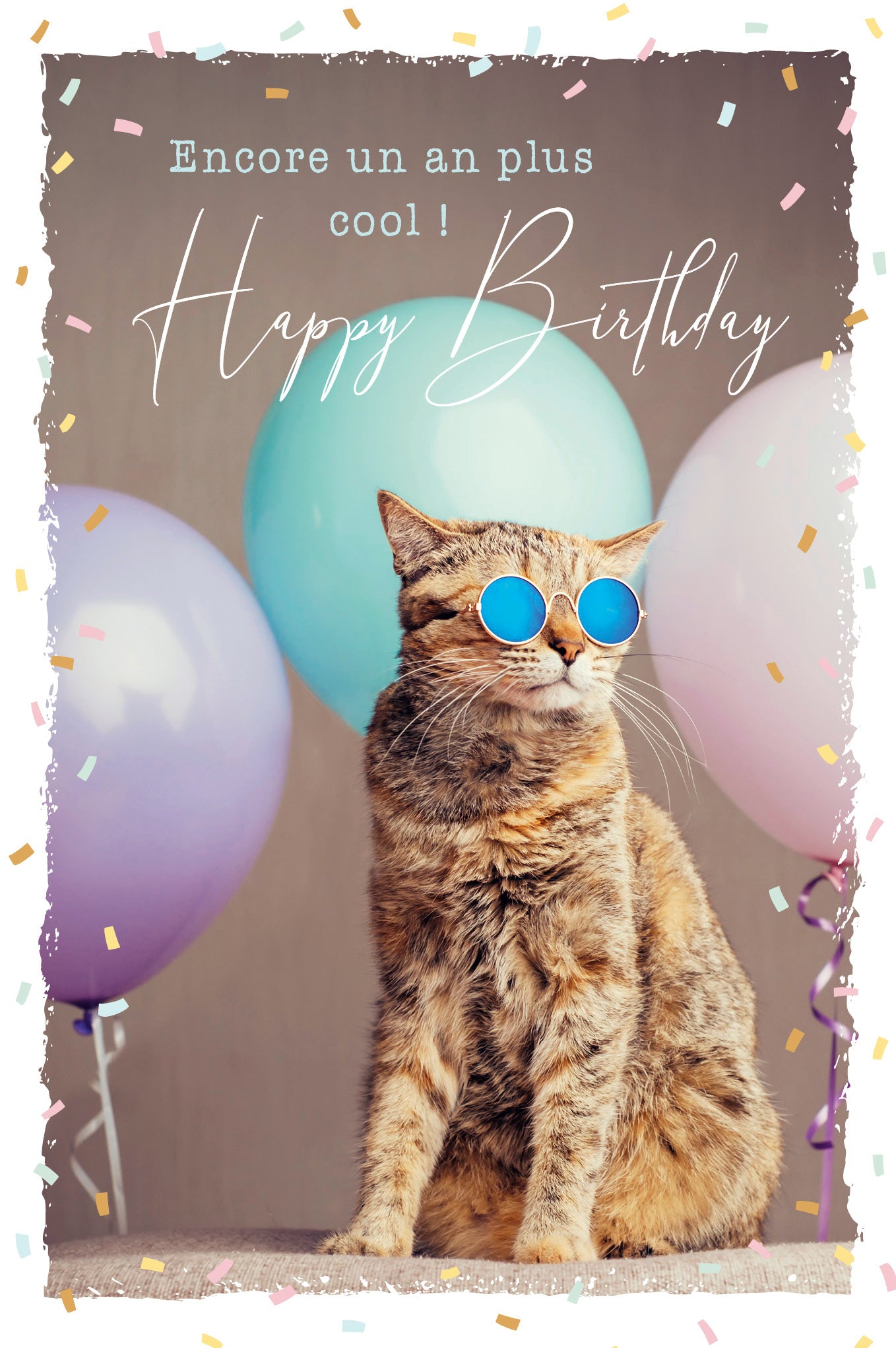 ABC Geburtstagskarte – B6, Sunny Cat