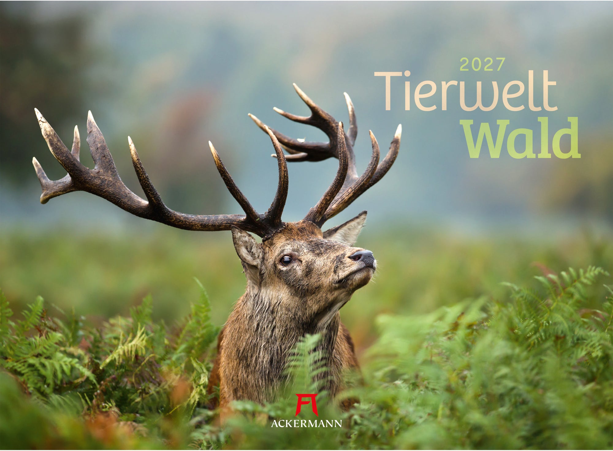 Ackermann Tierwelt Wald – Bildkalender 2027 – 33,5 × 45,5 cm – Kalendarium deutsch