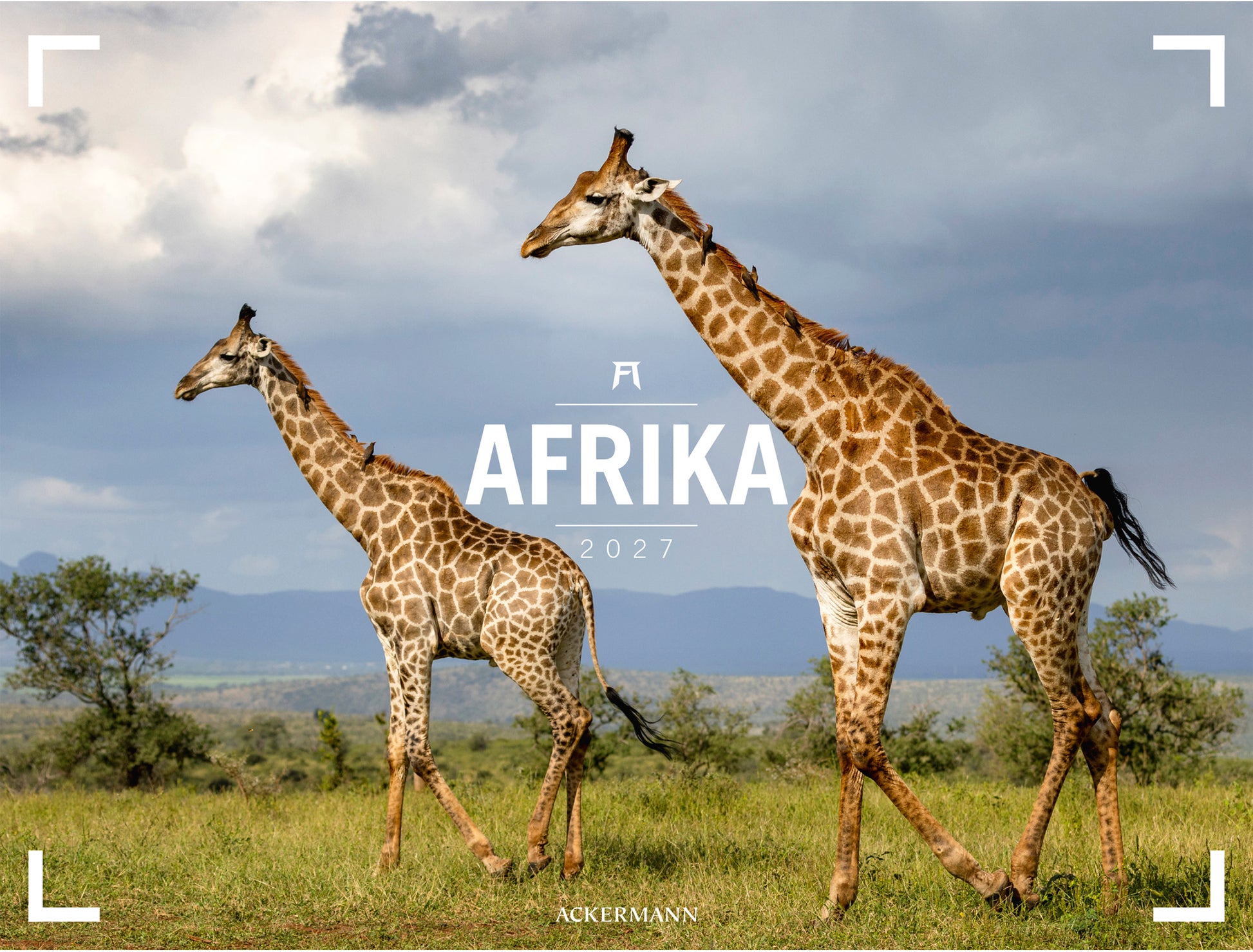 Ackermann Afrika – Bildkalender 2027 – 50,5 × 66,5 cm – Kalendarium d/e