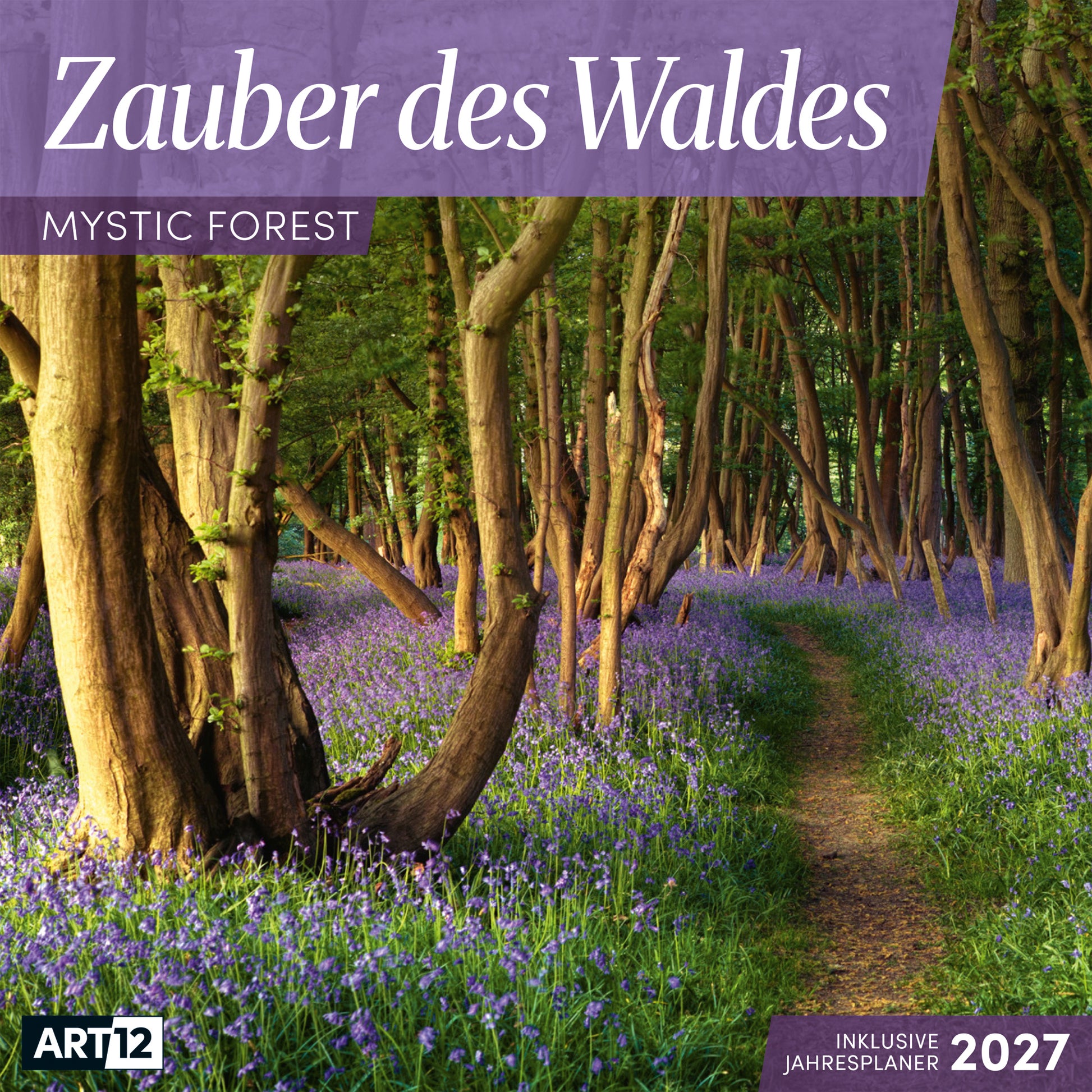 Ackermann Zauber des Waldes – Bildkalender 2027 – 30,9 × 30,2 cm