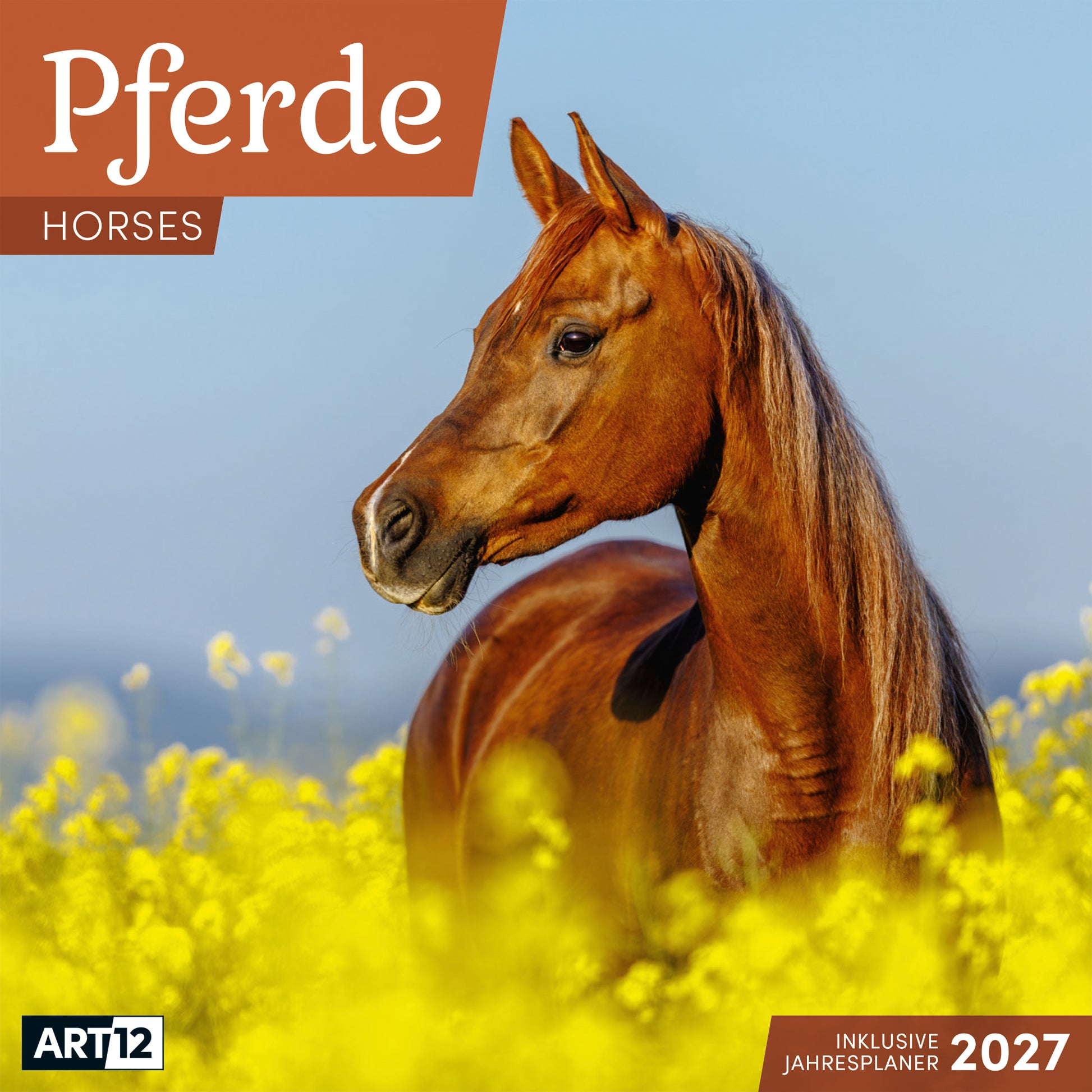 Ackermann Pferde – Bildkalender 2027 – 30,2 × 31 cm – 1 Monat/Seite