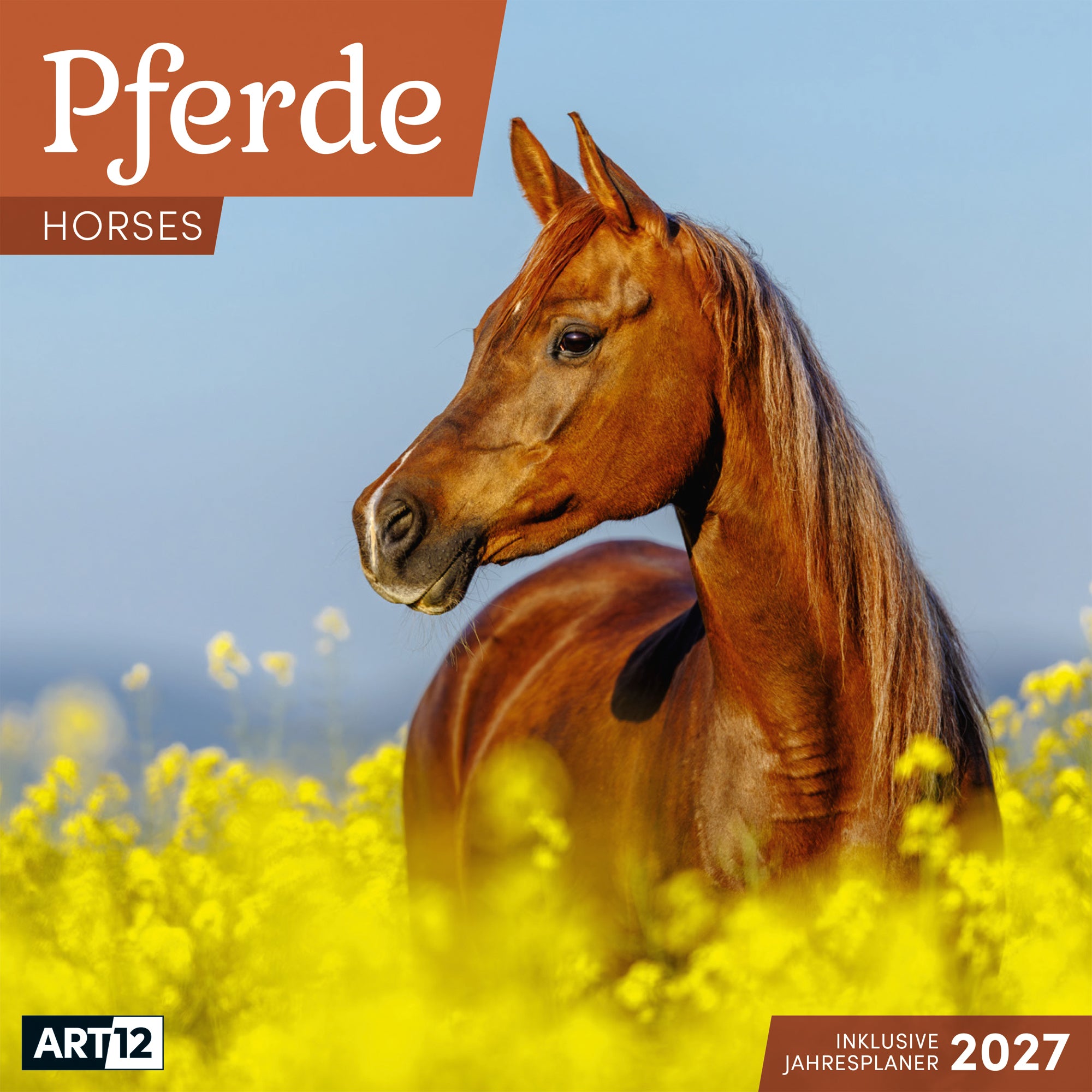 Ackermann Pferde – Bildkalender 2027 – 30,2 × 31 cm – 1 Monat/Seite