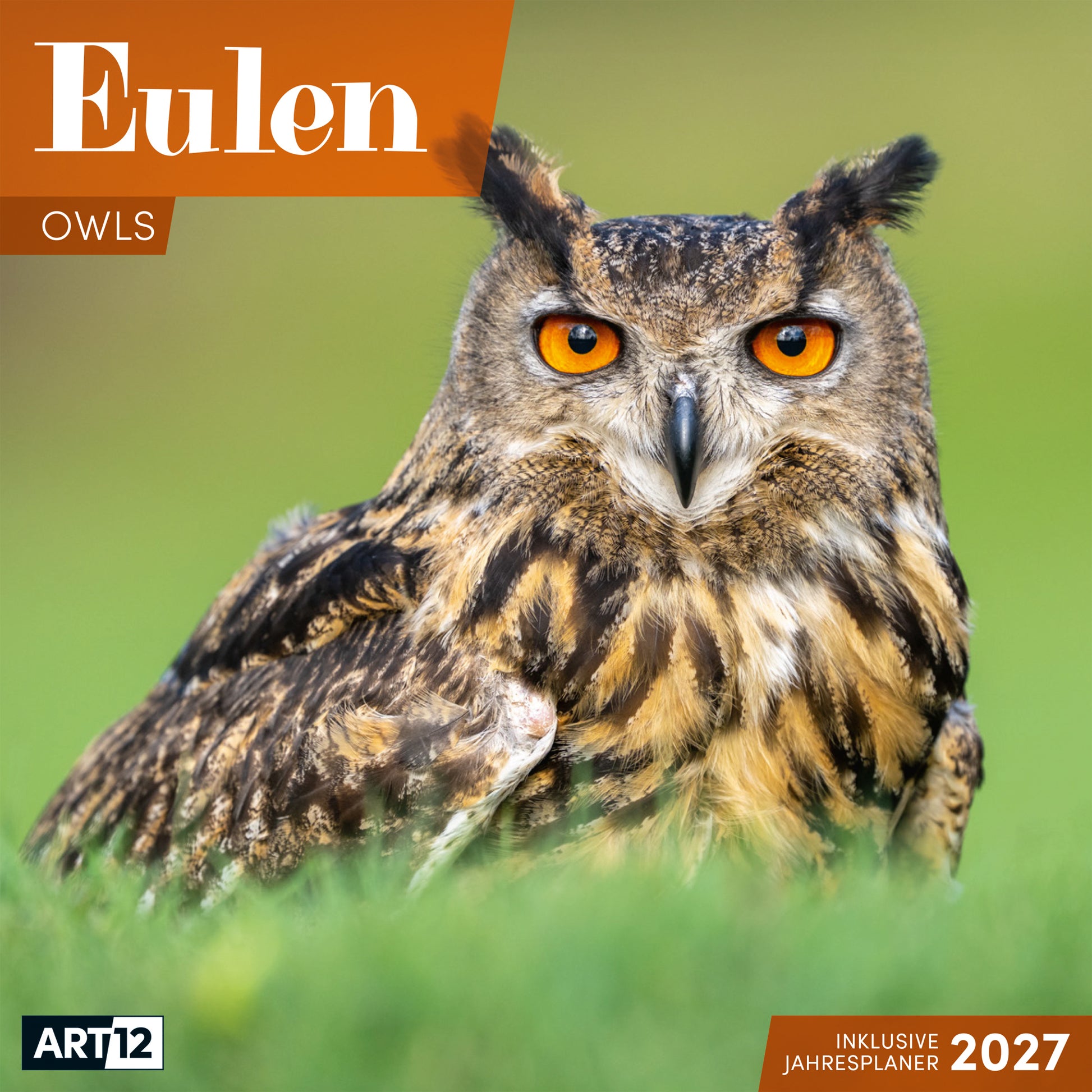 Ackermann Eulen – Bildkalender 2027 – 30 × 30 cm