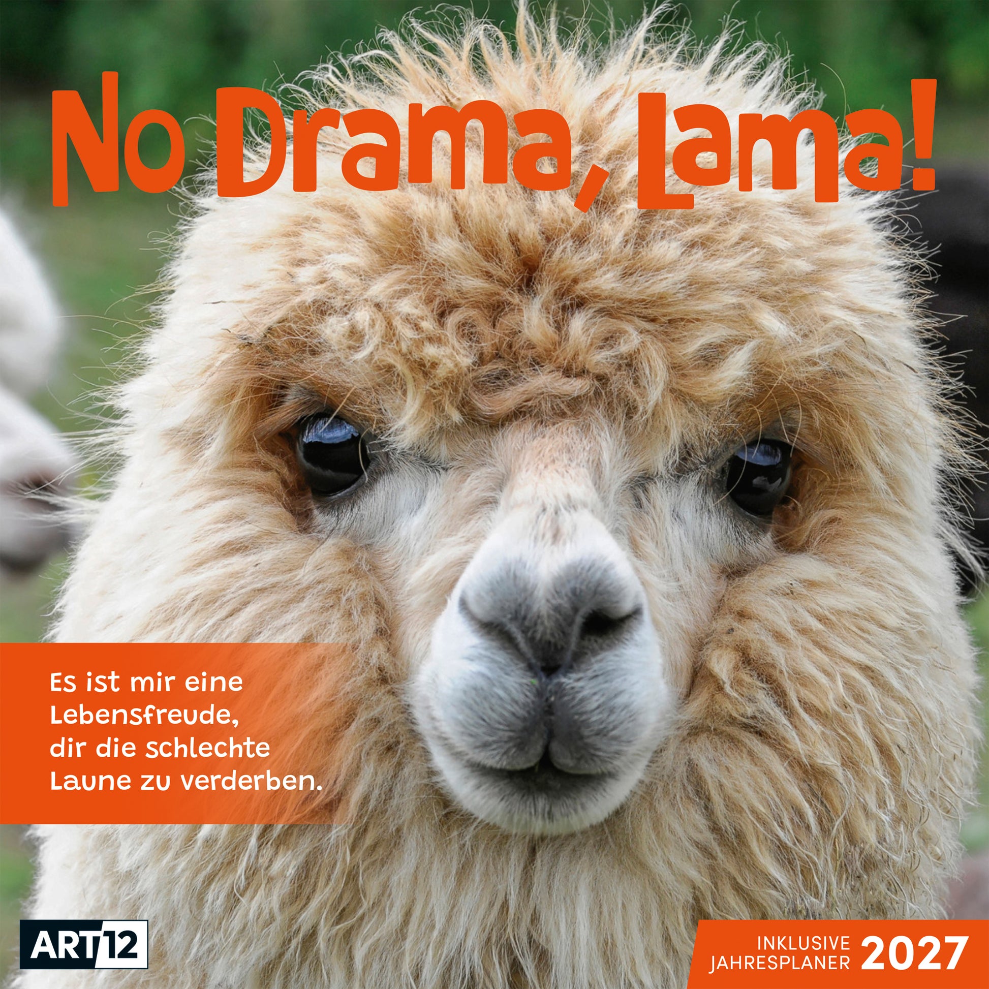 Ackermann No Drama Lama – Bildkalender 2027 – 30,2 × 31 cm