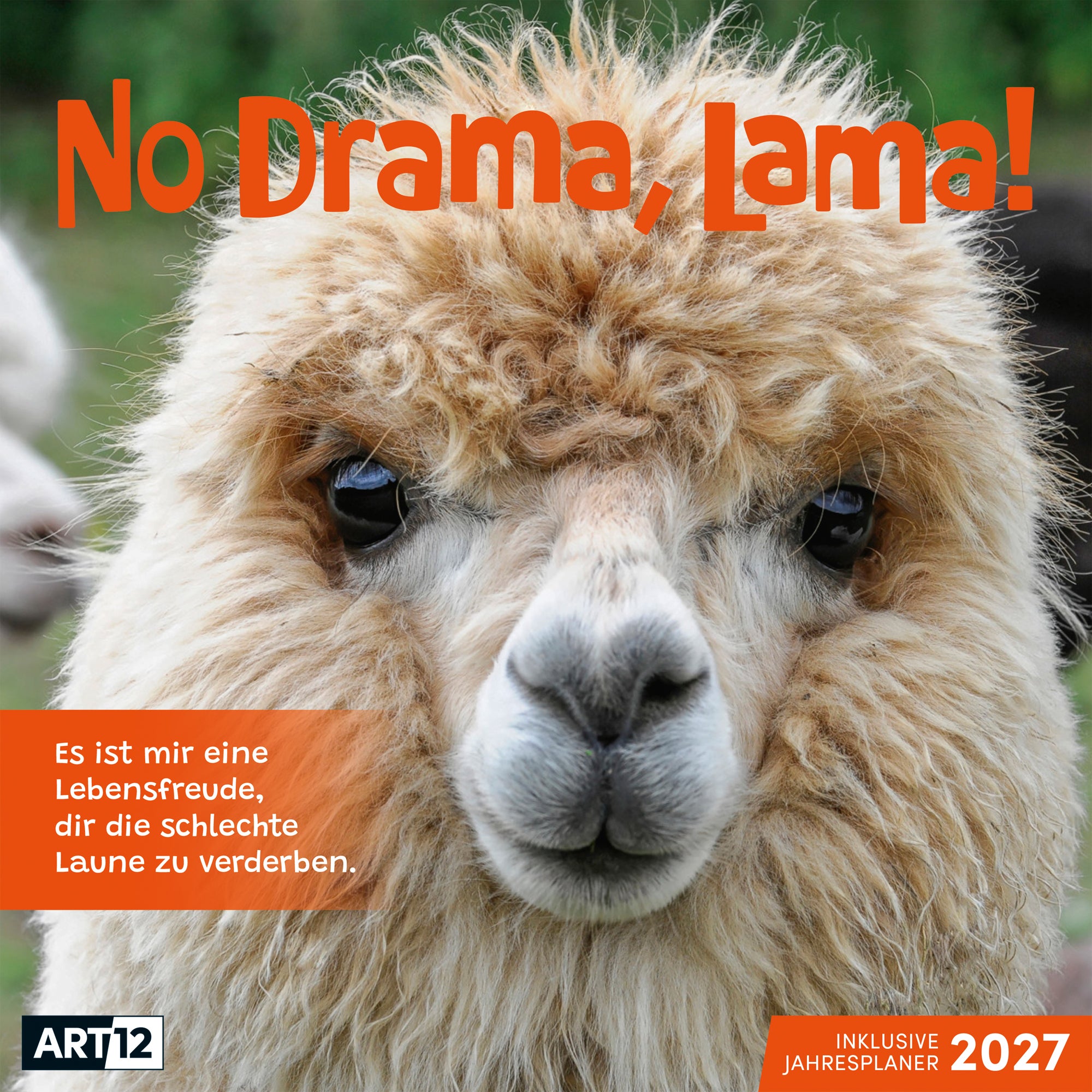 Ackermann No Drama Lama – Bildkalender 2027 – 30,2 × 31 cm
