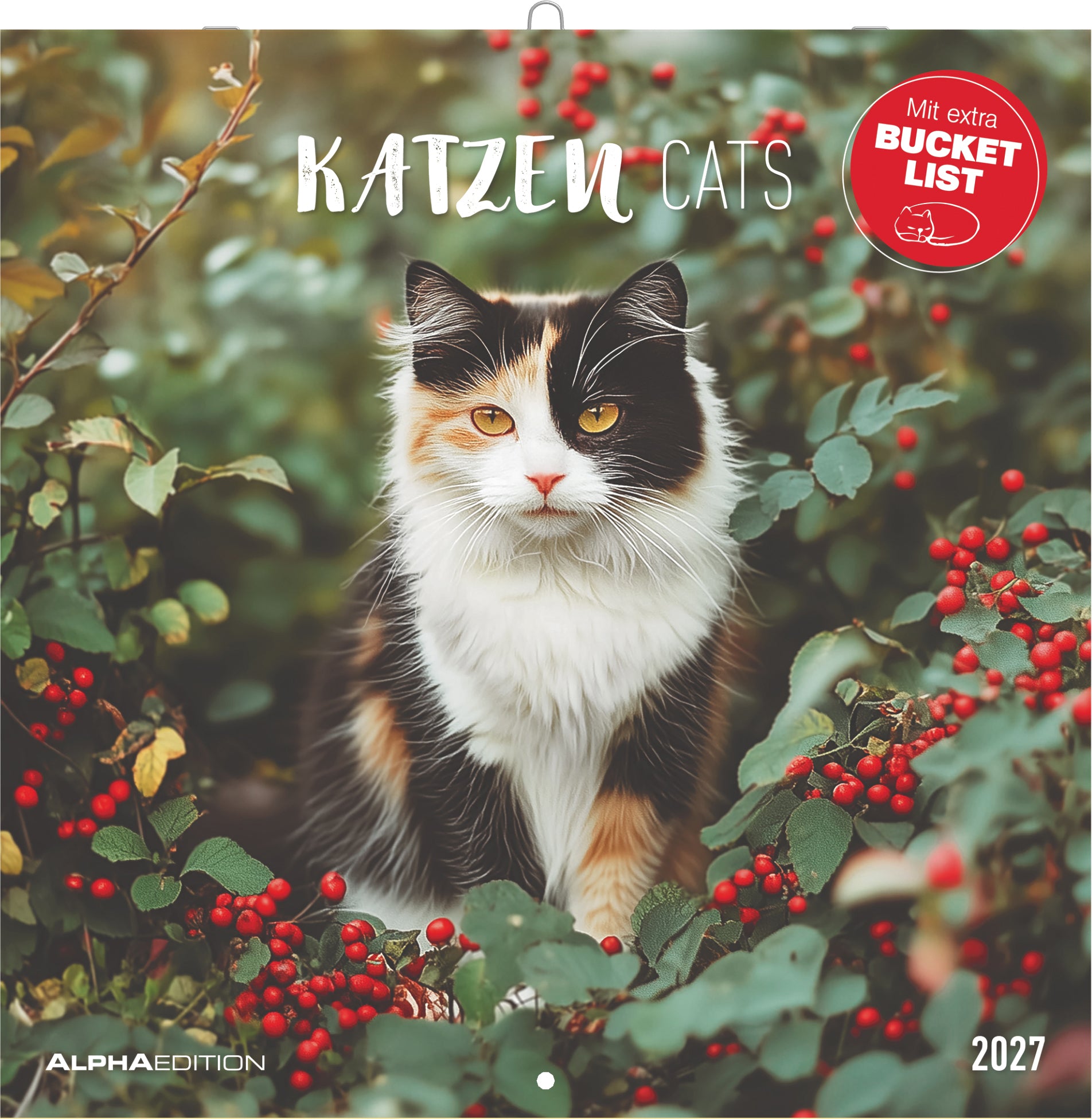 Alpha edition Katzen – Bildkalender 2027 – 30,3 × 31 cm