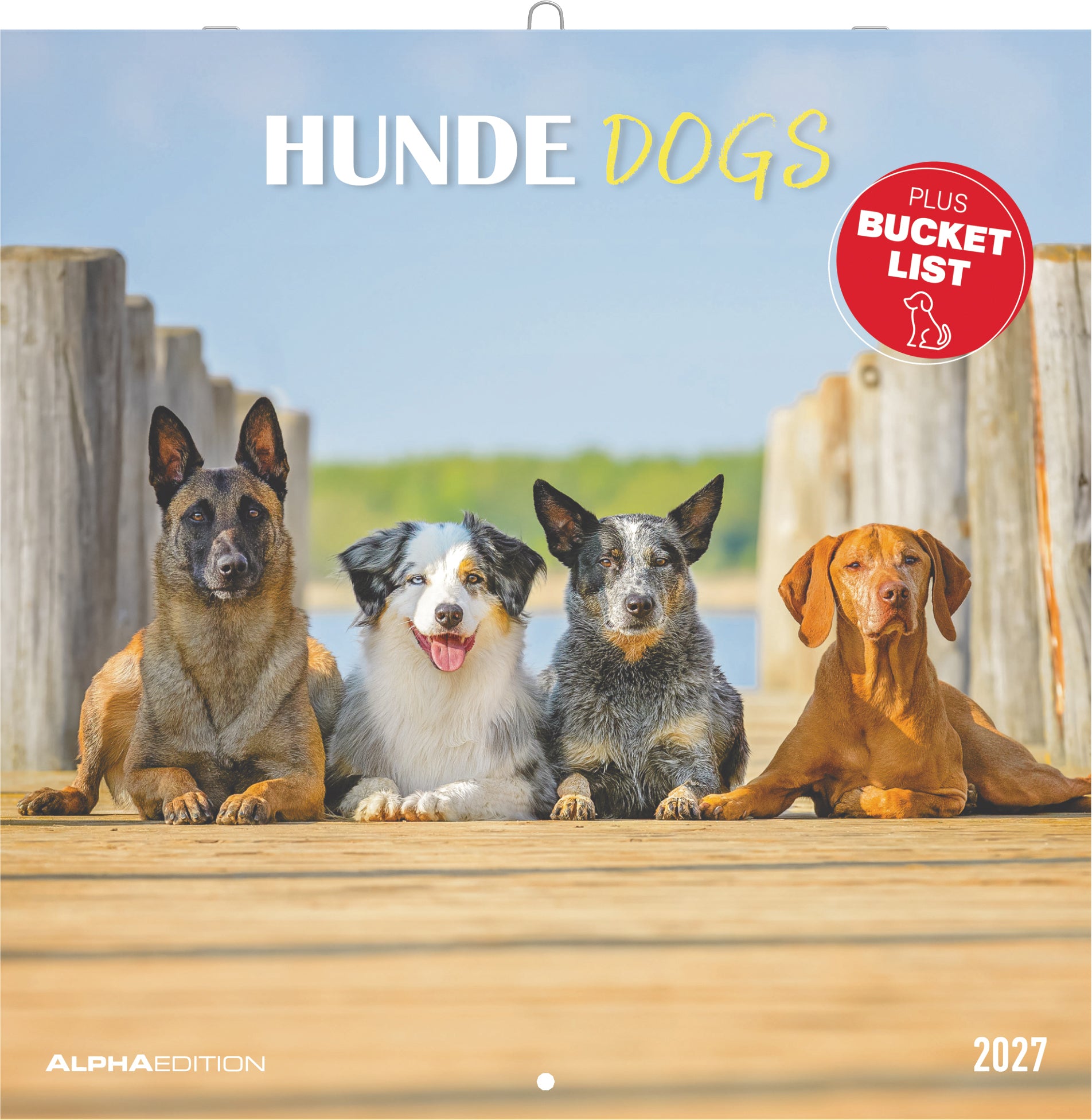 Alpha Edition Hunde – Bildkalender 2027 – 30 × 30 cm – 1 Monat/Seite