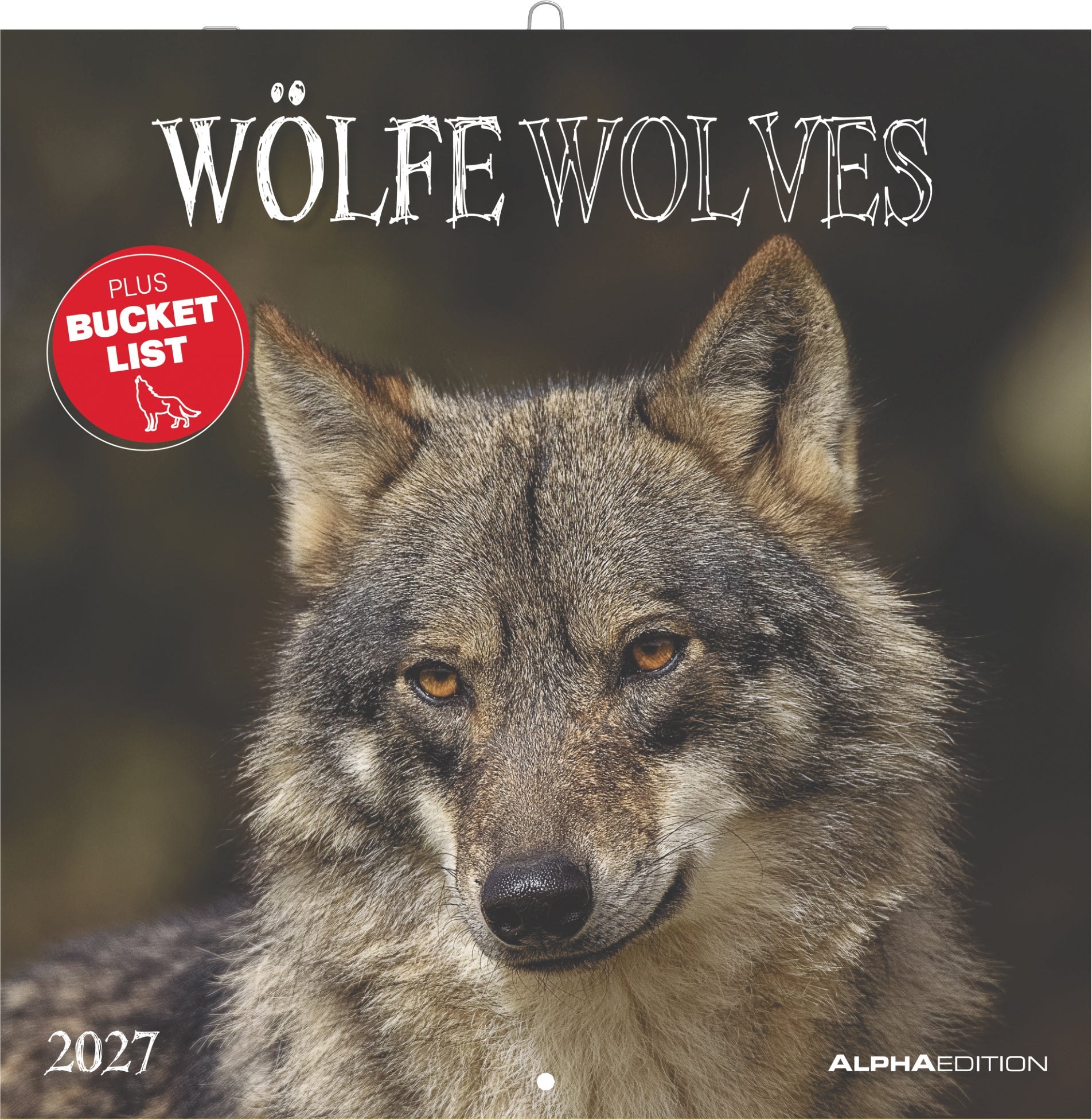 Alpha Edition Wölfe – Bildkalender 2027 – 30 × 30,5 cm