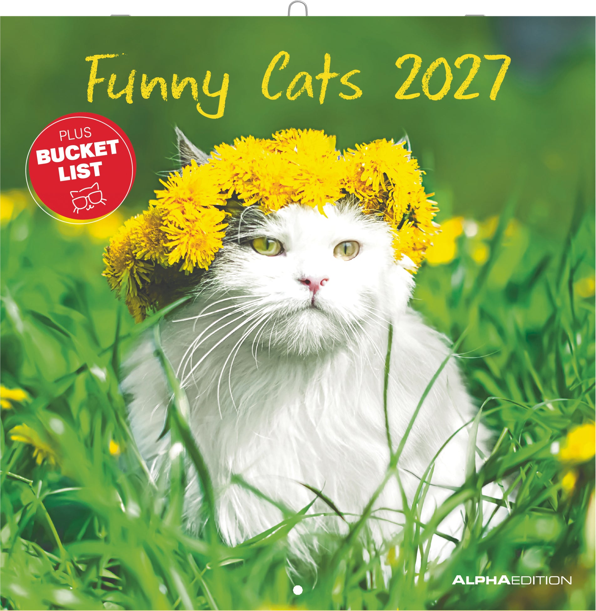 Alpha Edition Funny Cats – Bildkalender 2027 – 30 × 30 cm