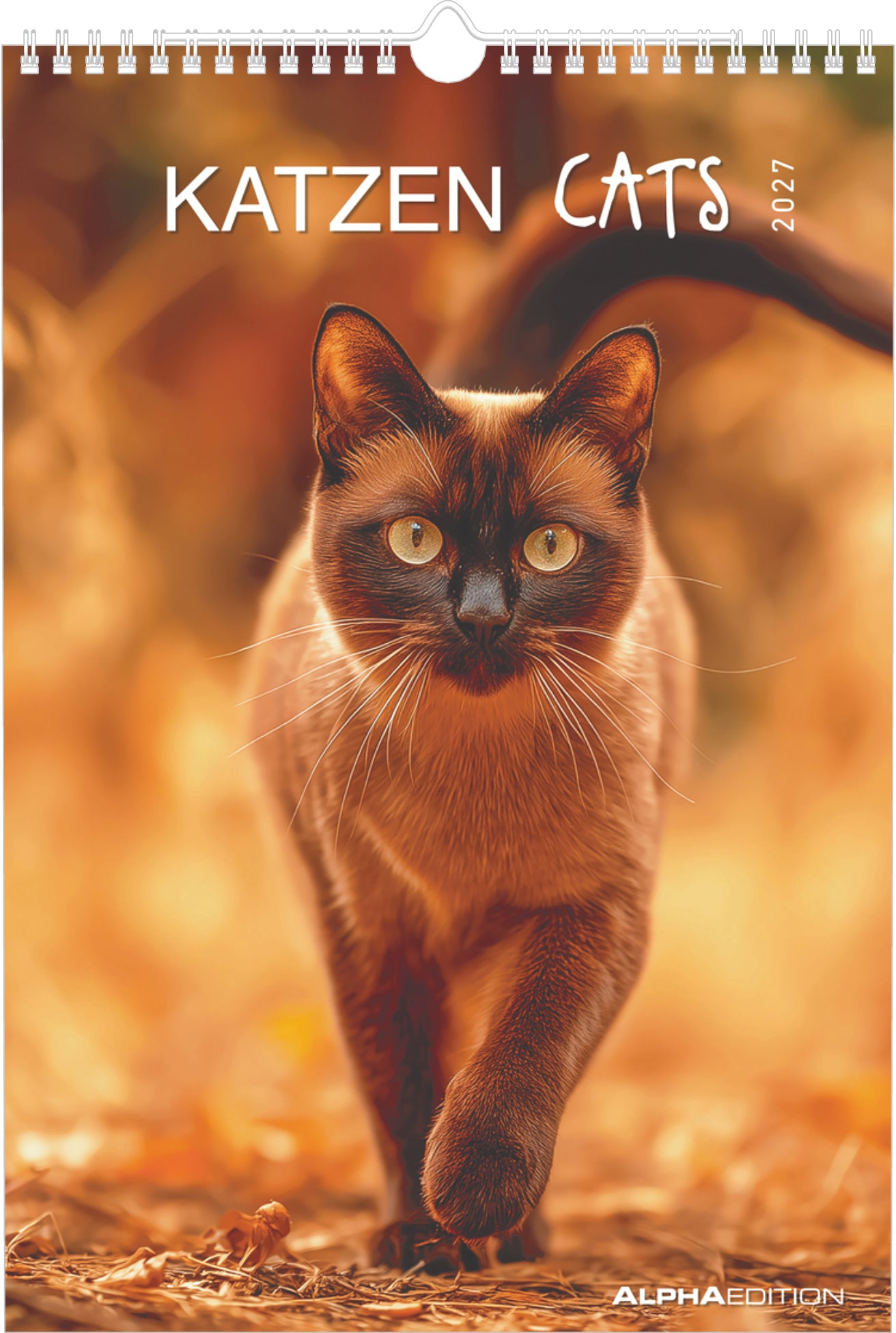 Alpha Edition Katzen – Bildkalender 2027 – 24 × 34,5 cm