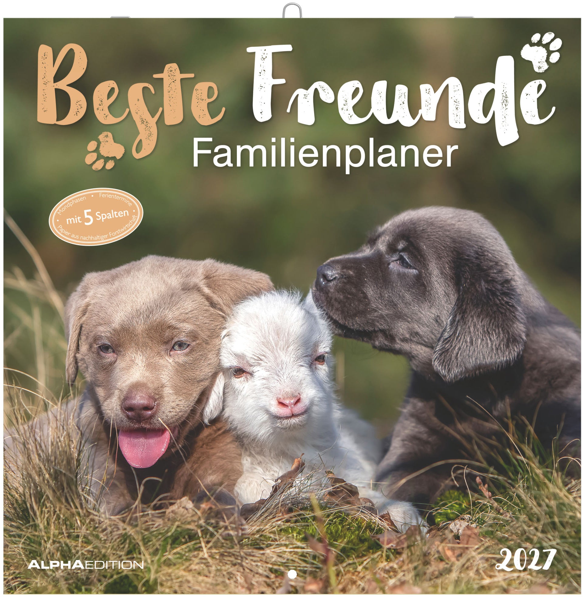 Alpha edition Familienplaner, Monat, 2027, 30 × 30 cm, 5 Spalten