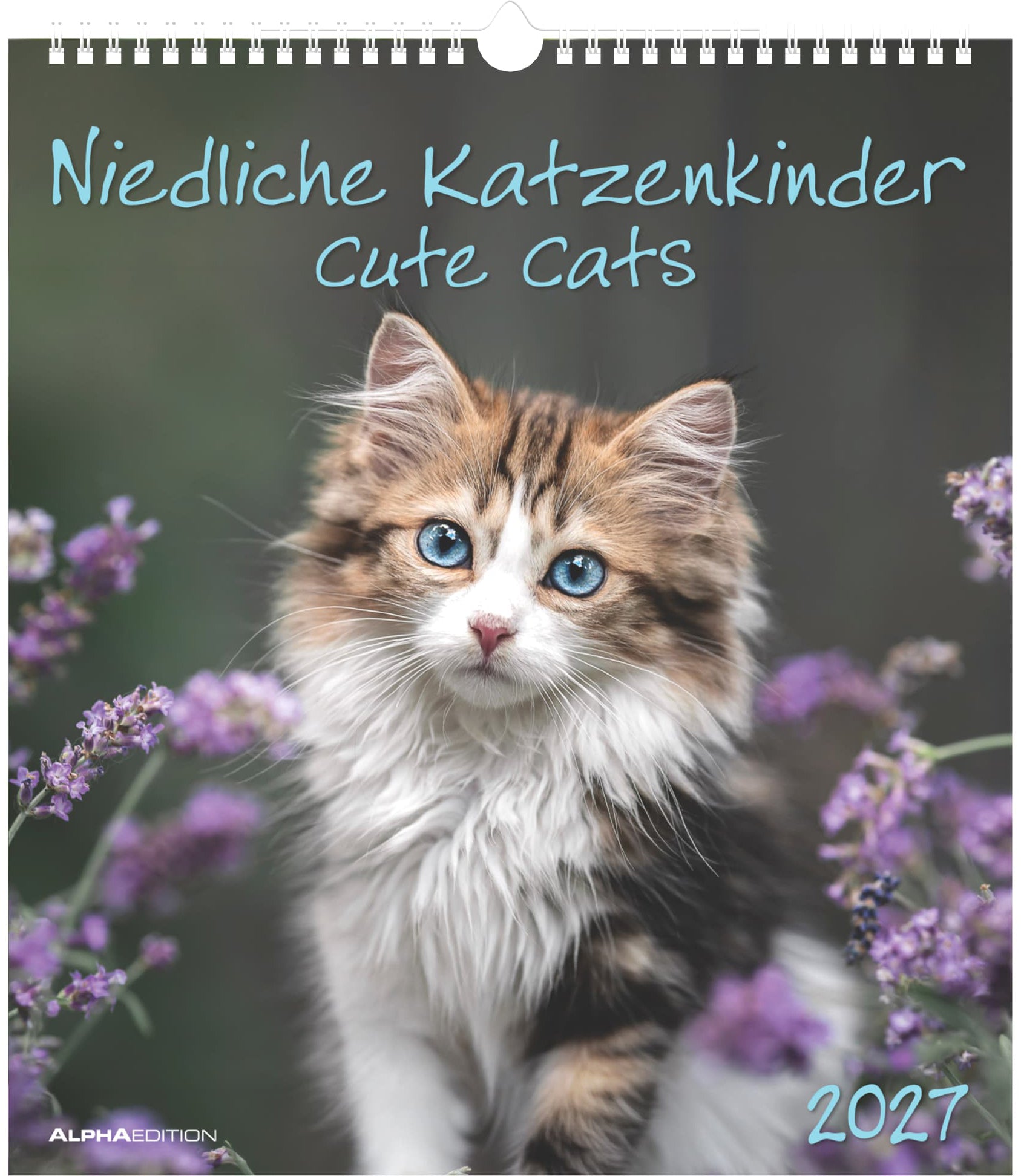 Alpha edition Katzenkinder – Bildkalender 2027 – 30,5 × 34,5 cm