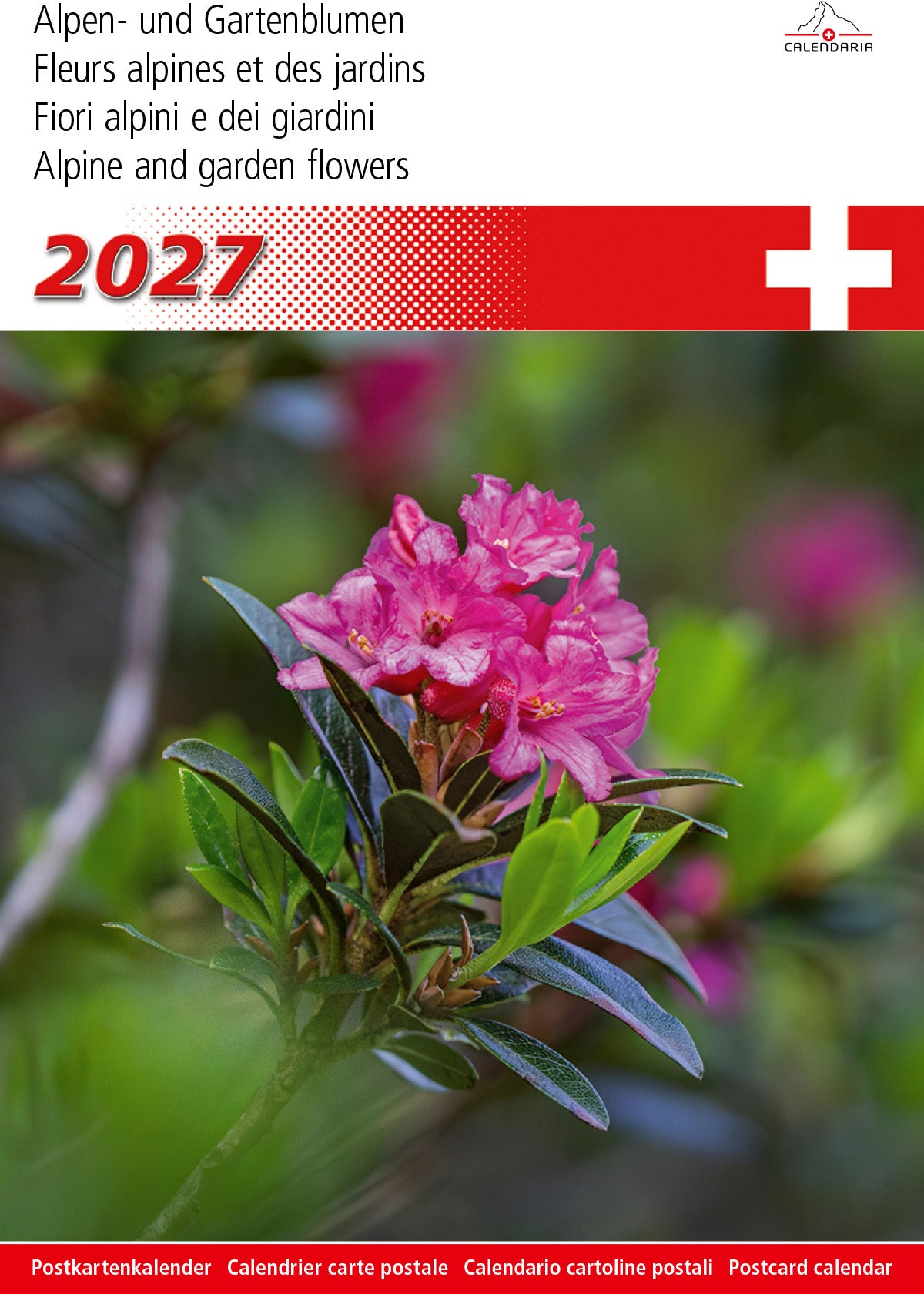 Calendaria Alpenblumen – Bildkalender 2027 – 14,8 × 22 cm