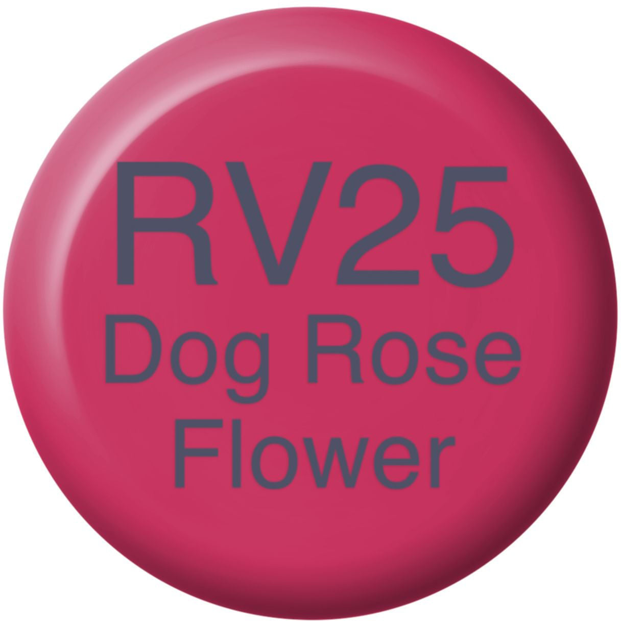 Copic Tinten-Nachfüllung – Hundsrose Blume RV25 – 12 ml – für Copic Marker