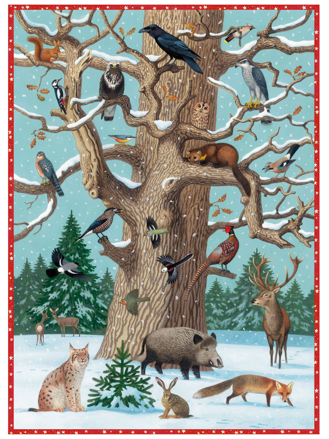 Coppenrath Tier im Winter – Adventskalender – 38 × 60,5 cm – 24 Motive