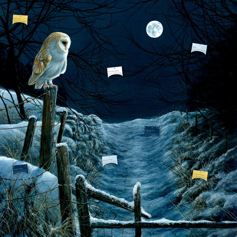 Coppenrath Magie und Mythos der Weihnacht – Adventskalender – 49 × 57,5 cm