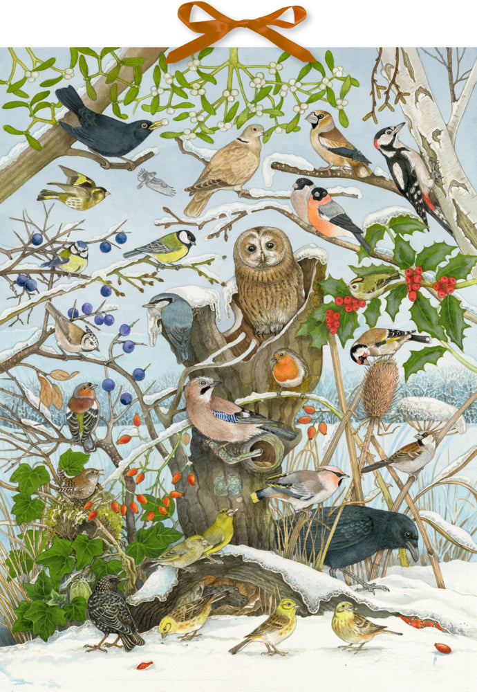 Coppenrath Adventskalender – Unsere Vögel im Winter, mit 24 Vogelstimmen