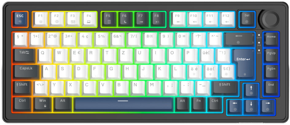 Deltaco Gaming DK480 – Gaming-Tastatur 75% – Mechanisch – Kabelgebunden (USB-C) – QWERTZ (CH) – RGB, Hot-Swap