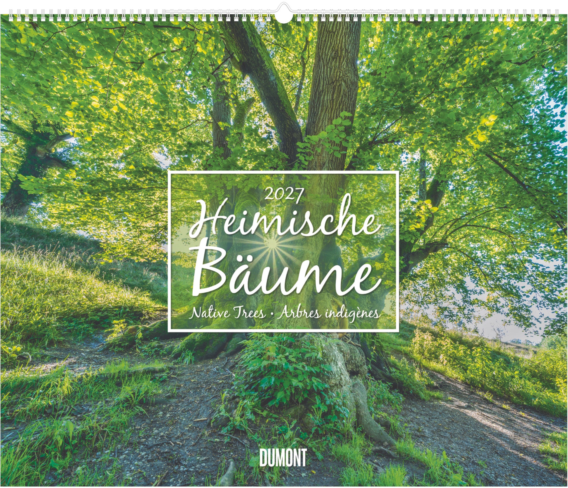 Dumont Bäume ML – Bildkalender 2027 – 58,7 × 49,3 cm
