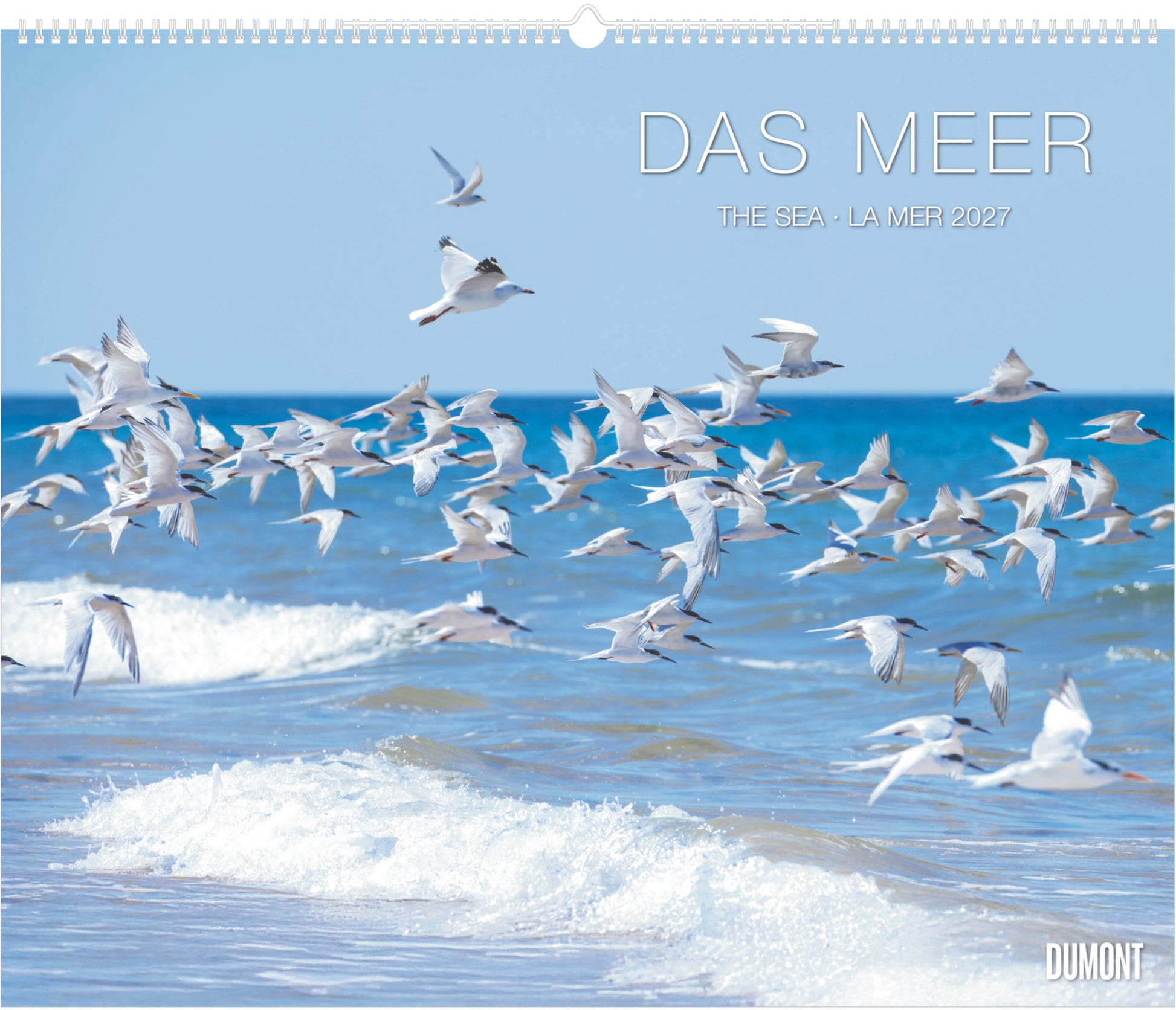 Dumont Das Meer – Bildkalender 2027 – 60 × 50 cm – 1 Monat/Seite