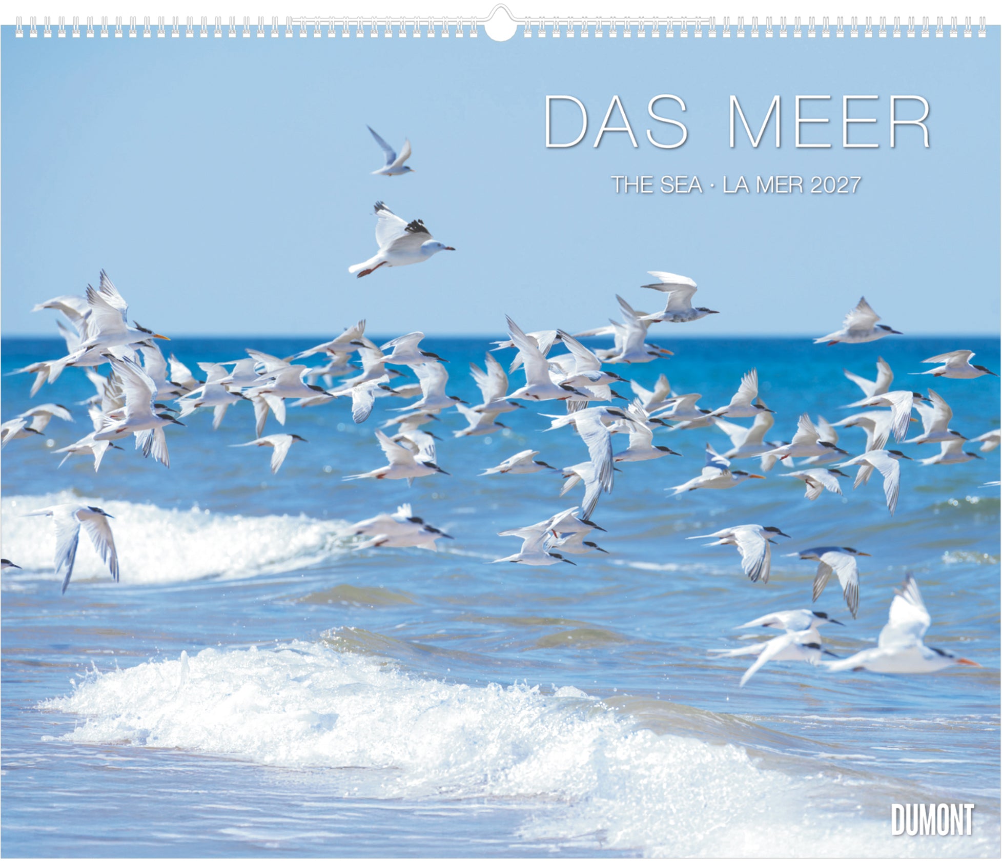 Dumont Das Meer – Bildkalender 2027 – 60 × 50 cm – 1 Monat/Seite