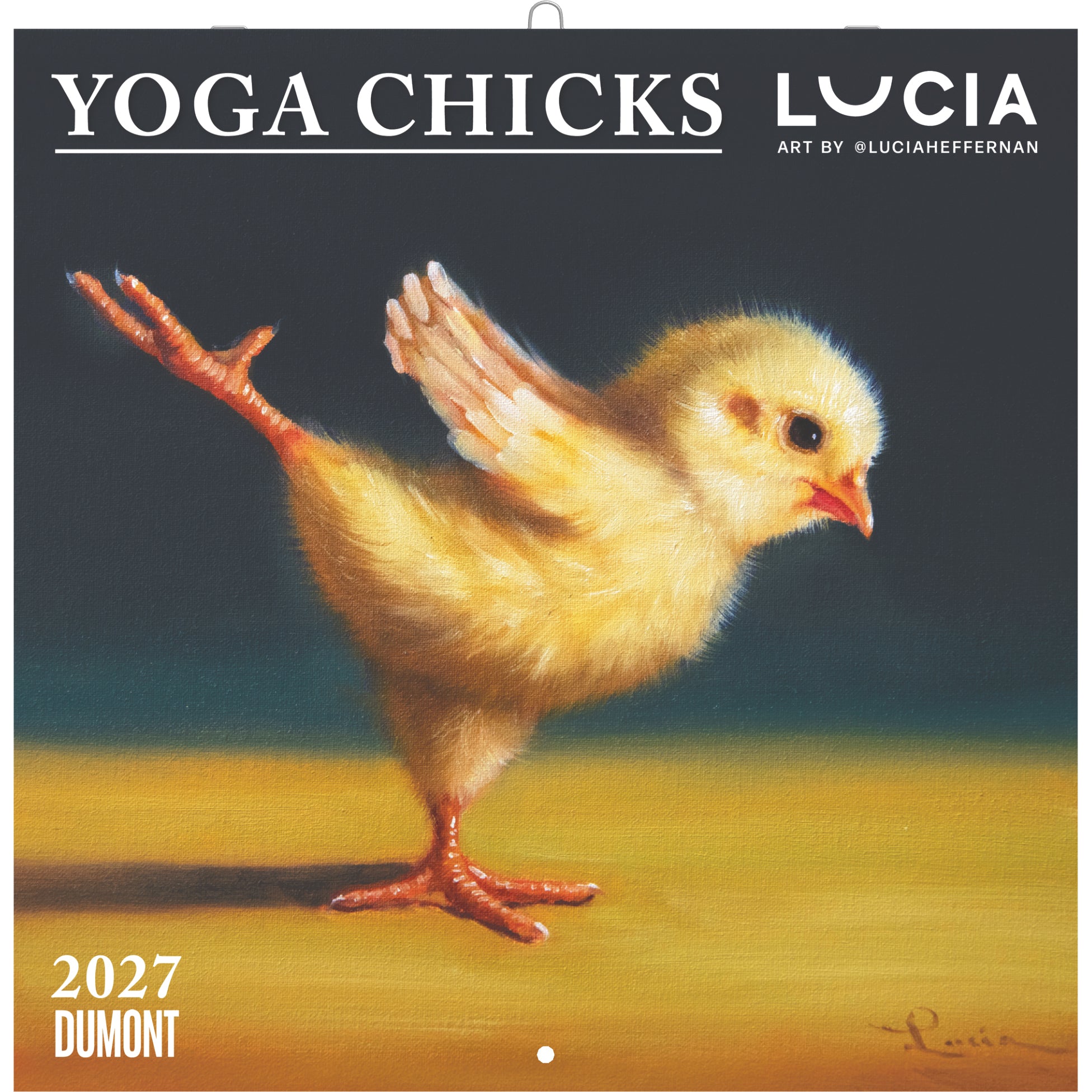 Dumont Yoga Chicks – Bildkalender 2027 – 22 × 50,5 cm – Kalendarium Deutsch – 1 Monat/Seite