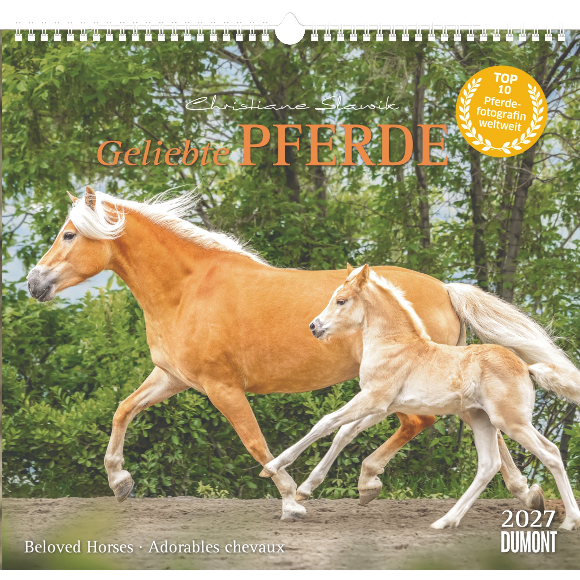 Dumont Pferde – Bildkalender 2027 – 38 × 35,5 cm – 1 Monat/Seite