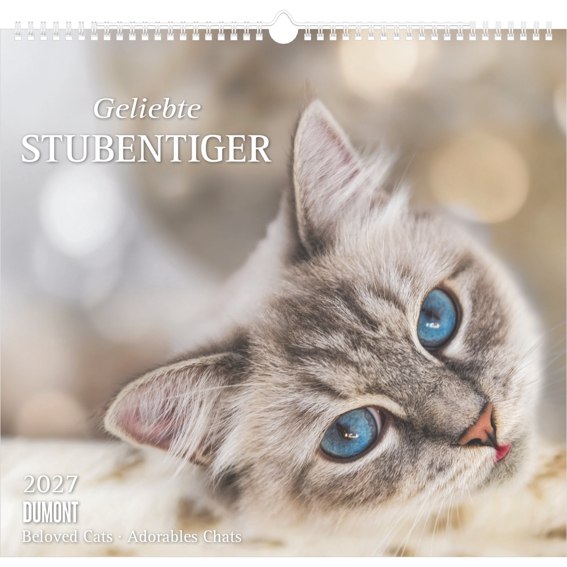 Dumont Stubentiger ML – Bildkalender 2027 – 36,5 × 38,5 cm