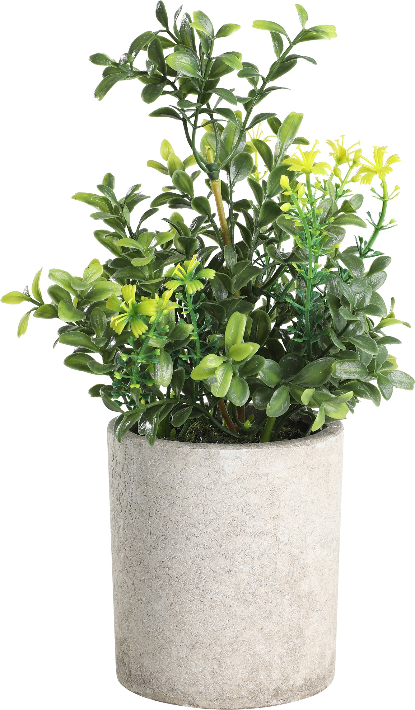 Eglo CHITOSE Kunstpflanze – 27 cm – Paper Pulp, grün