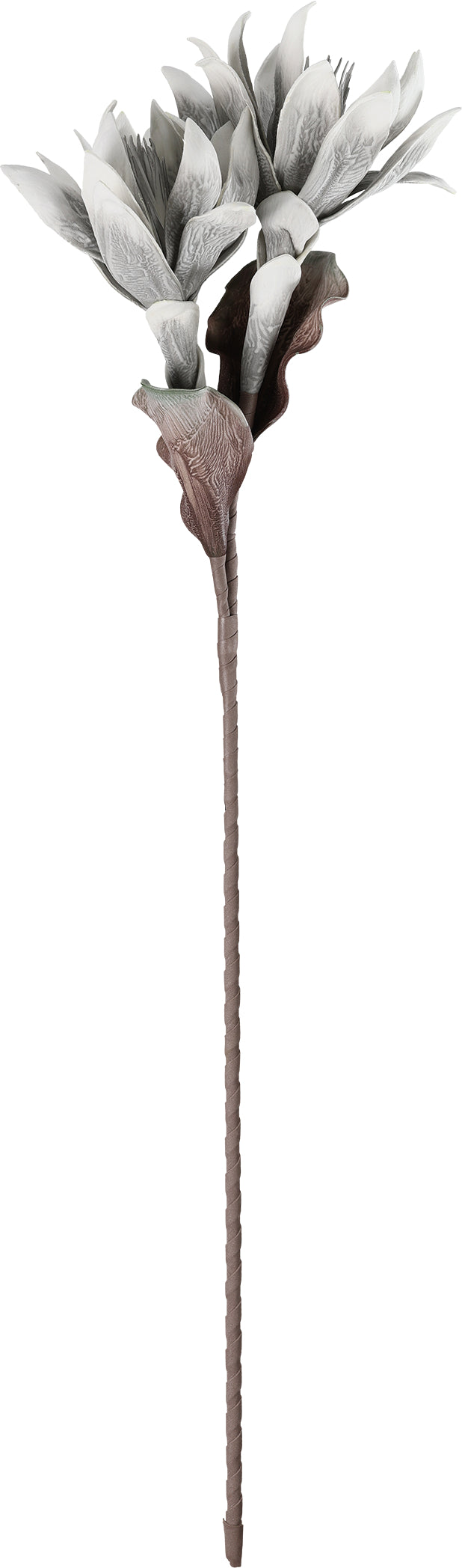 Eglo MOLAVE Kunstblume – 88 × 12,5 cm – grau