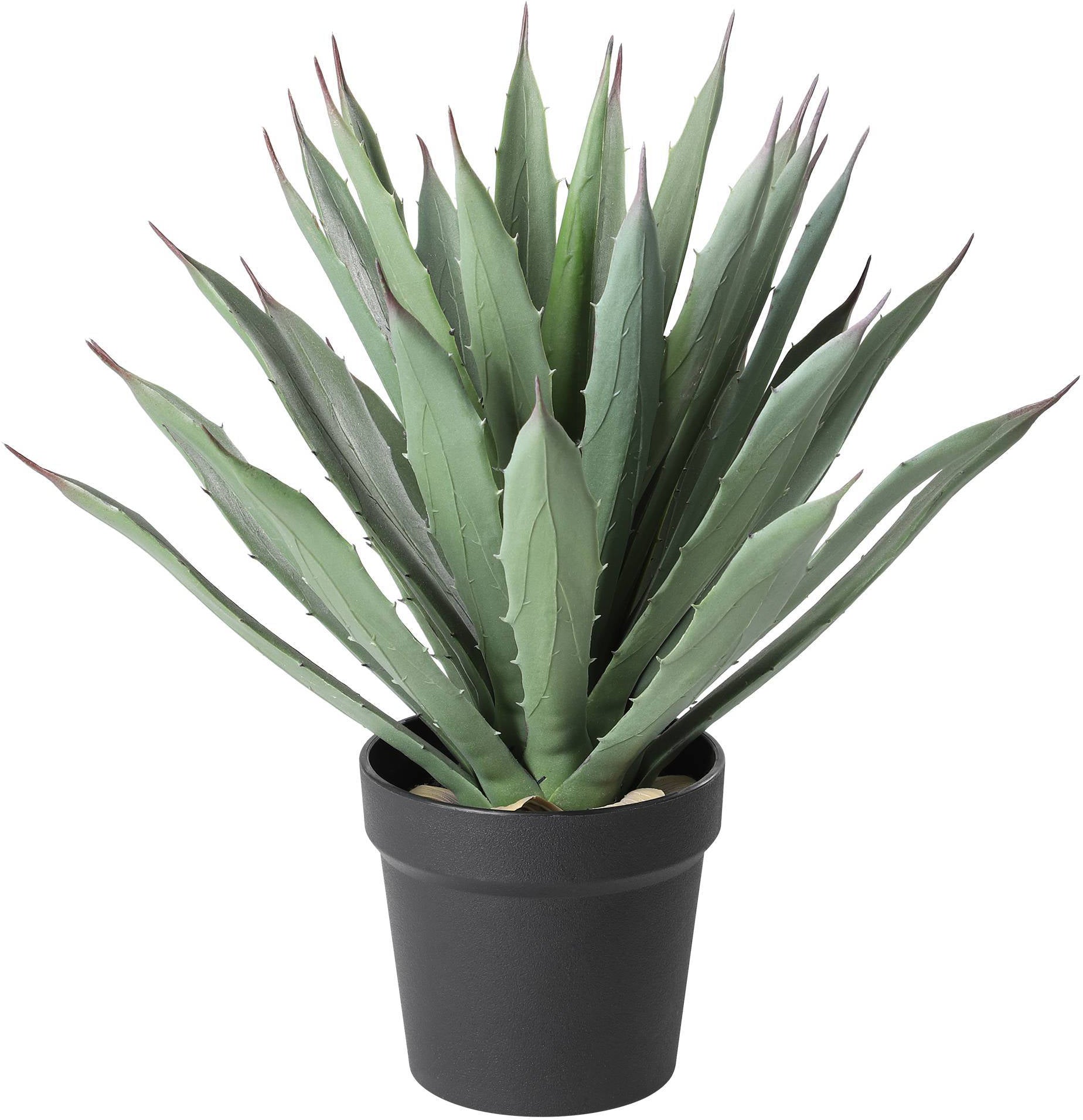 Eglo Kunstpflanze – 33 cm – grün, im Topf
