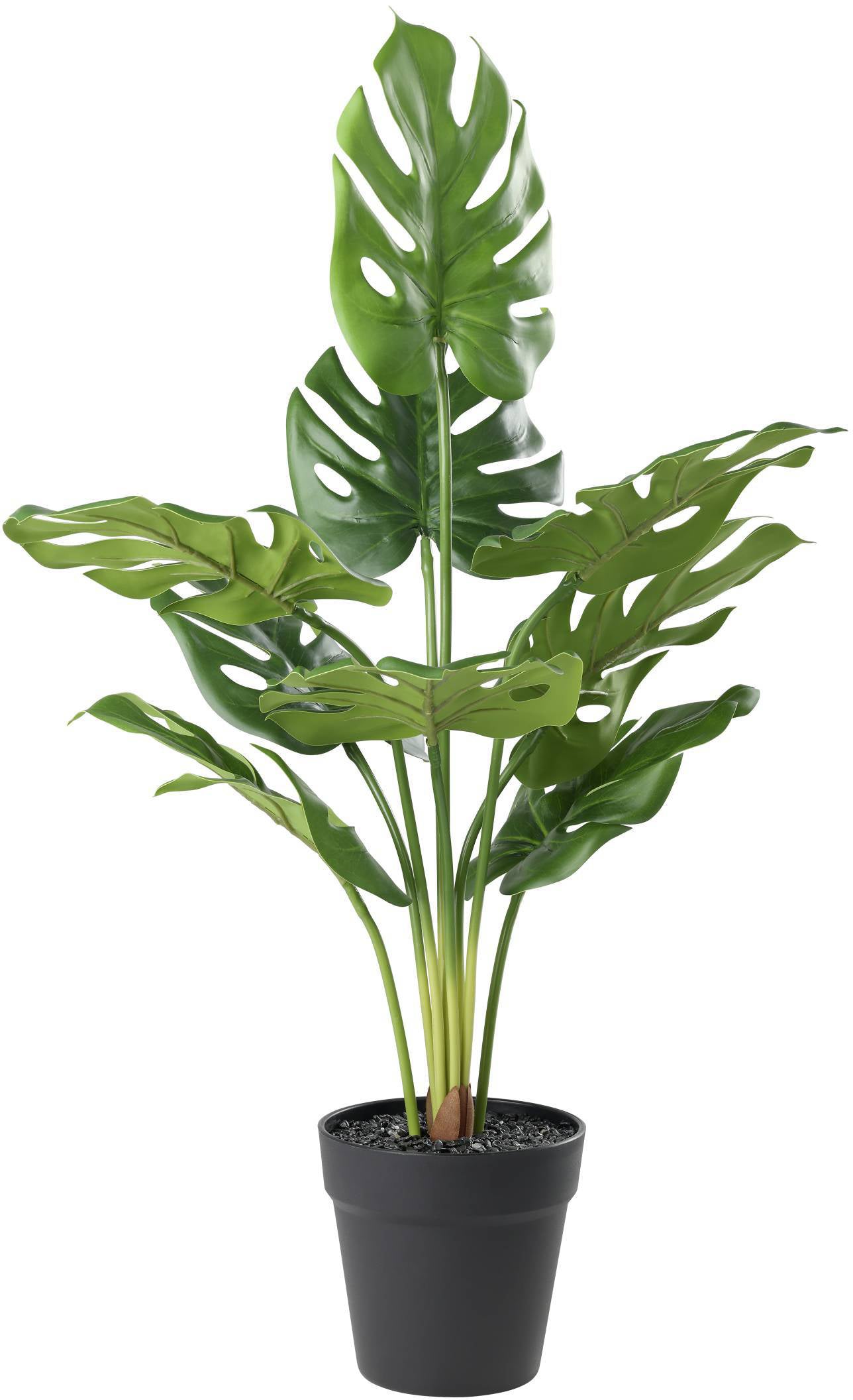 Eglo Kunstpflanze – 64 cm – Grün