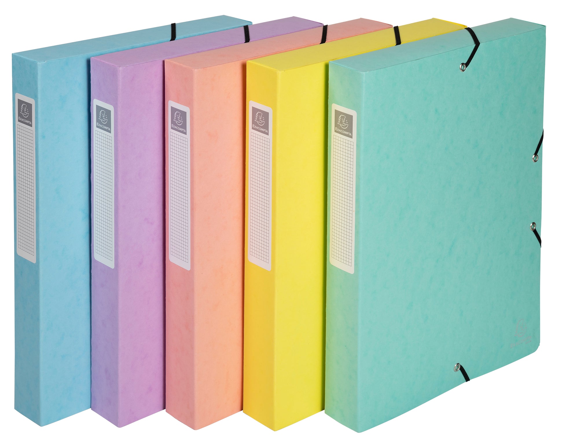 Exacompta Aquarel Archivschachtel – für A4, Rücken 60 mm, B 260 × H 65 × T 335 mm, mit Etikettenhalter