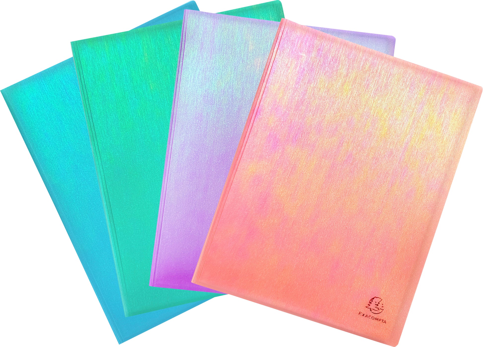 Exacompta Candy Tidy Sichtbuch A4, 20 Hüllen, PP 500 Einband, glasklar